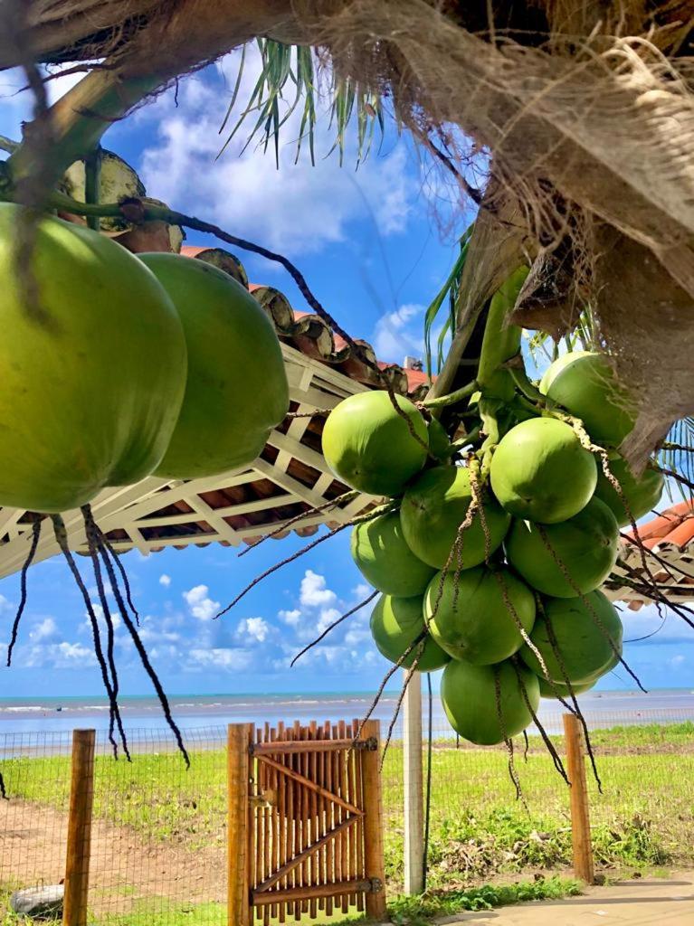 Condomínio Praias de Maragogi & Casas Deluxe