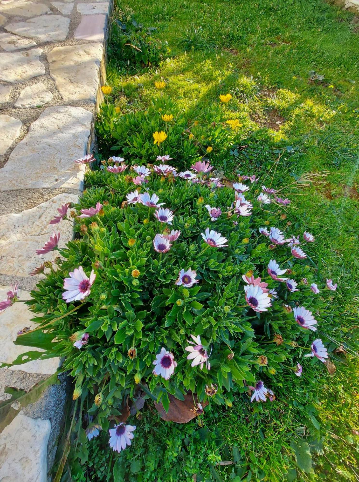 Vlore Casa Vacanze