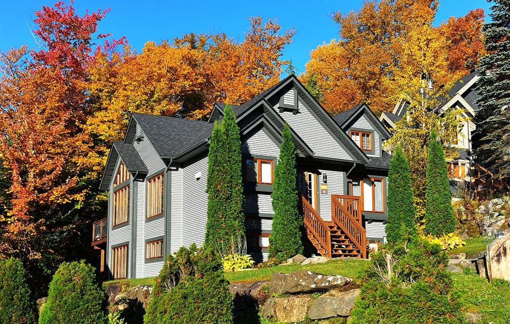 Chalets Alpins-36 Chemin des skieurs