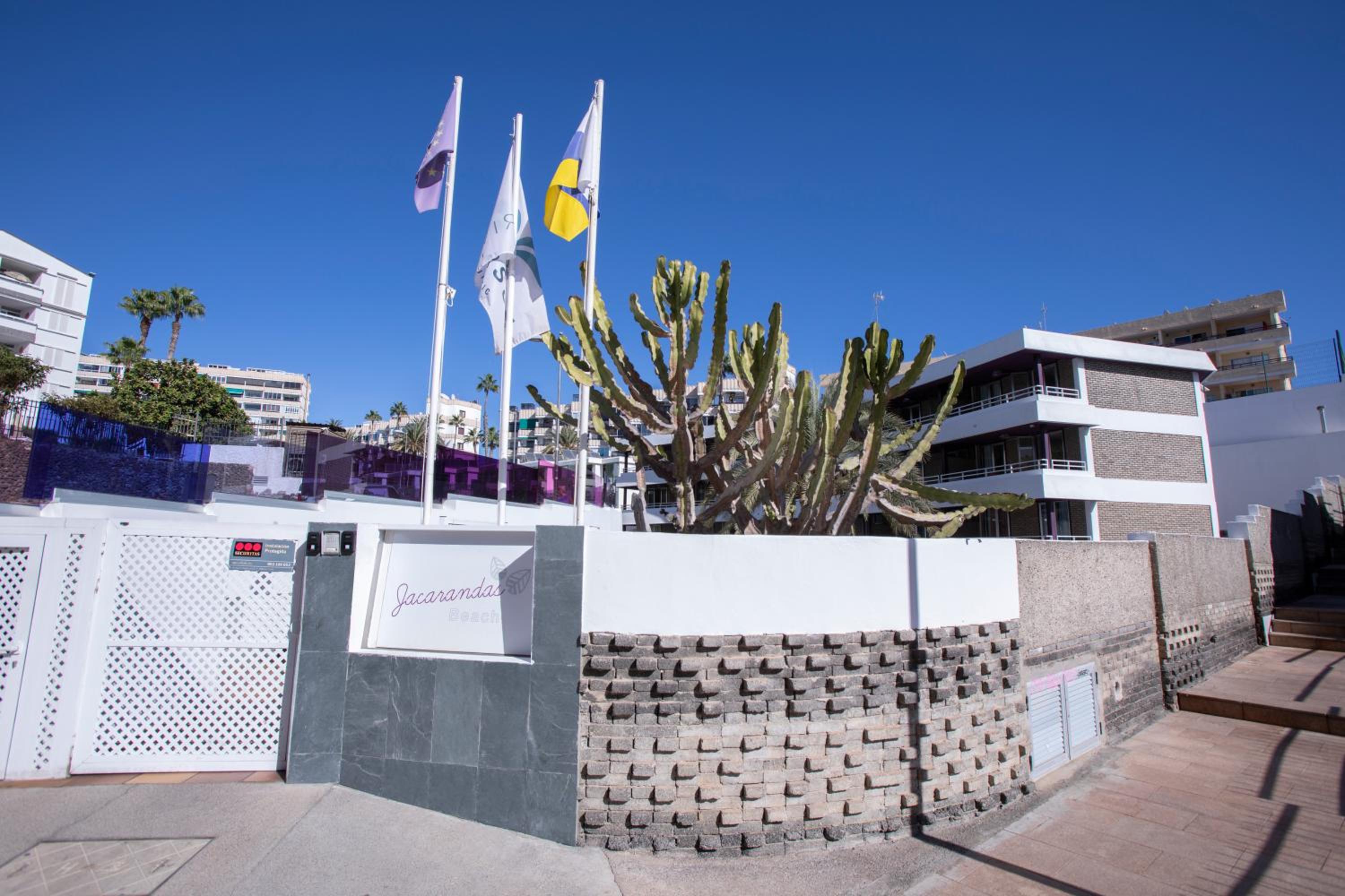 Jacarandas Beach