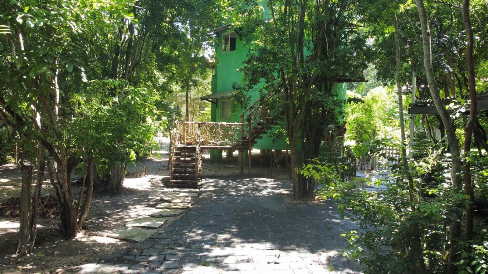 Photo 15