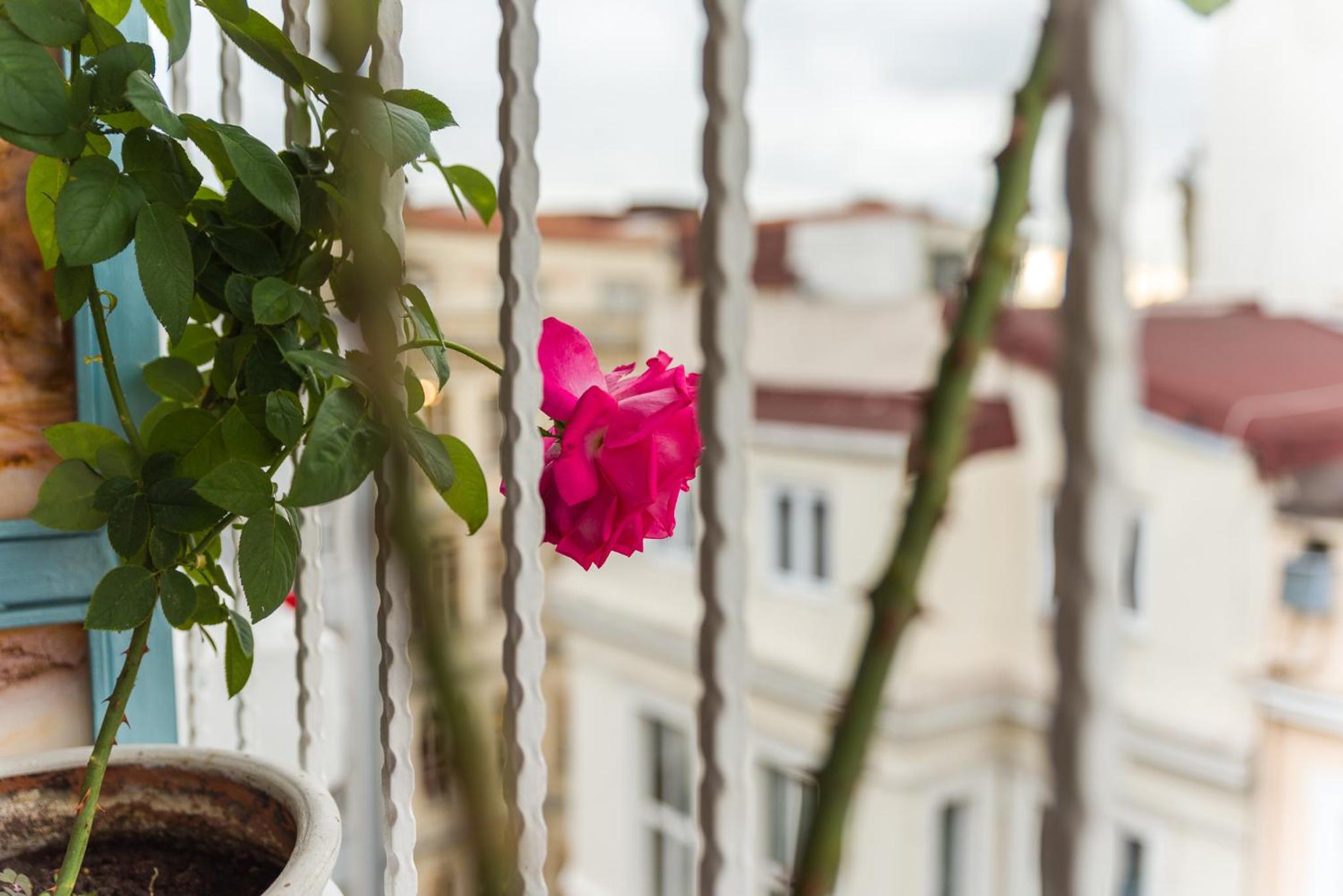 Ragip Pasha Daireleri - Image 49