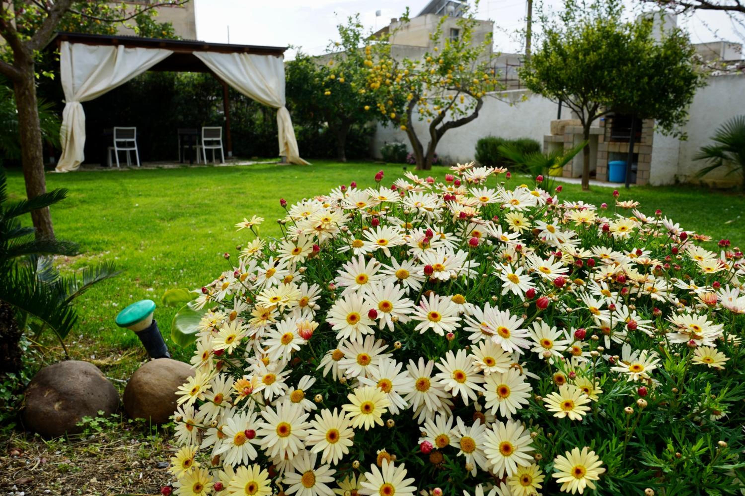 Photo 42