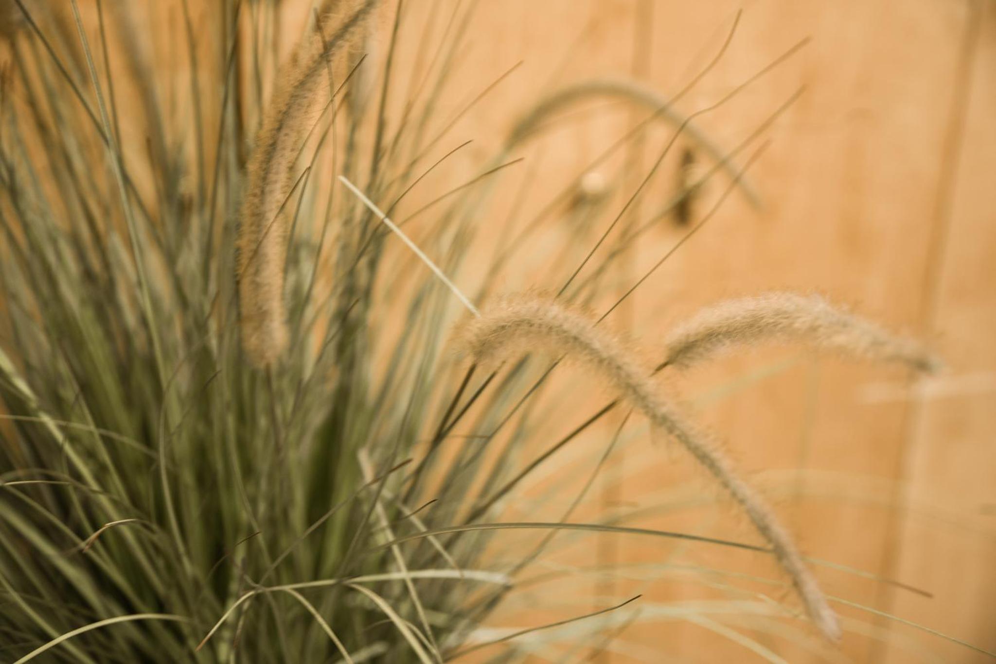 Ragip Pasha Daireleri - Image 50