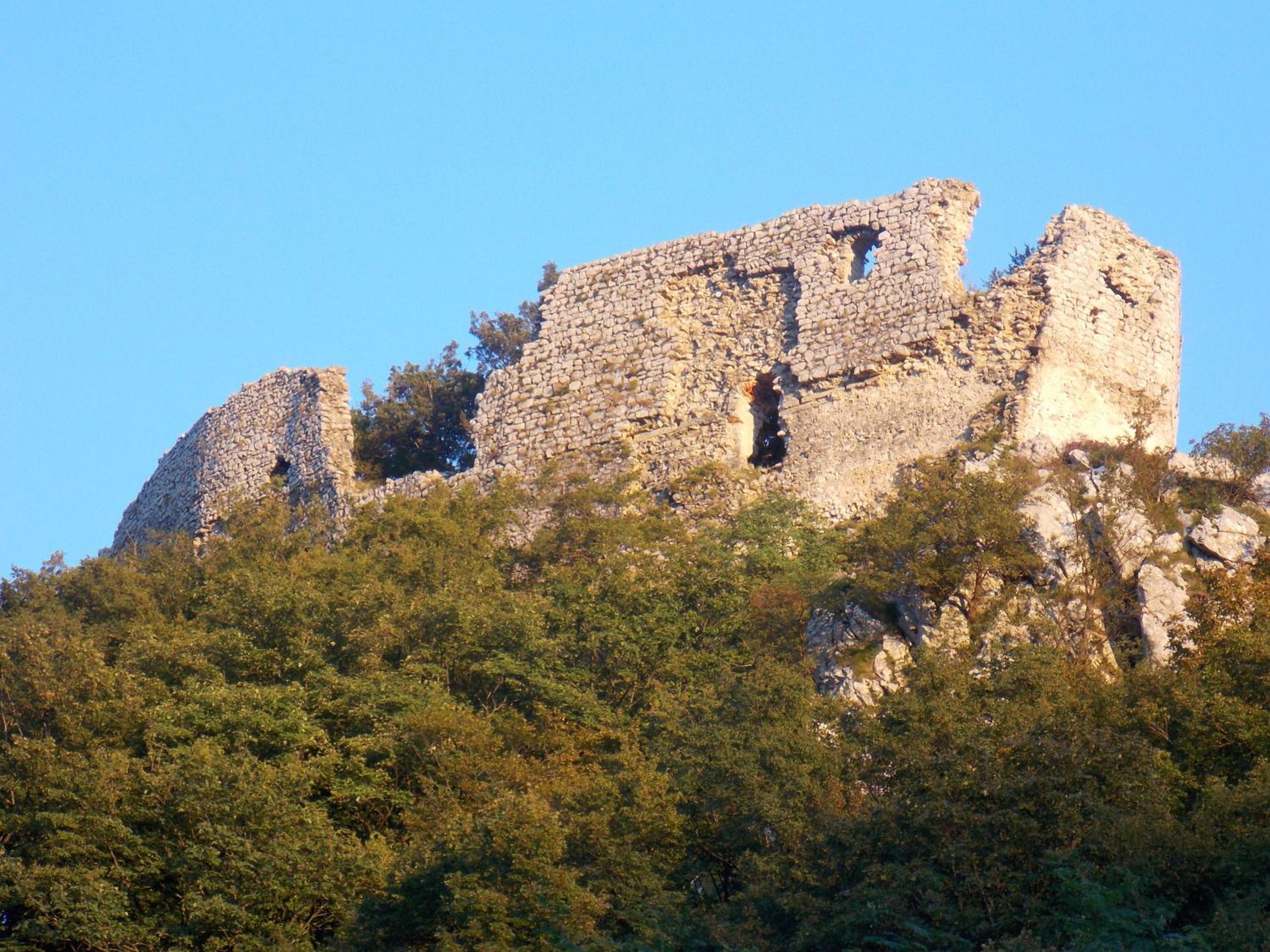 Photo 12