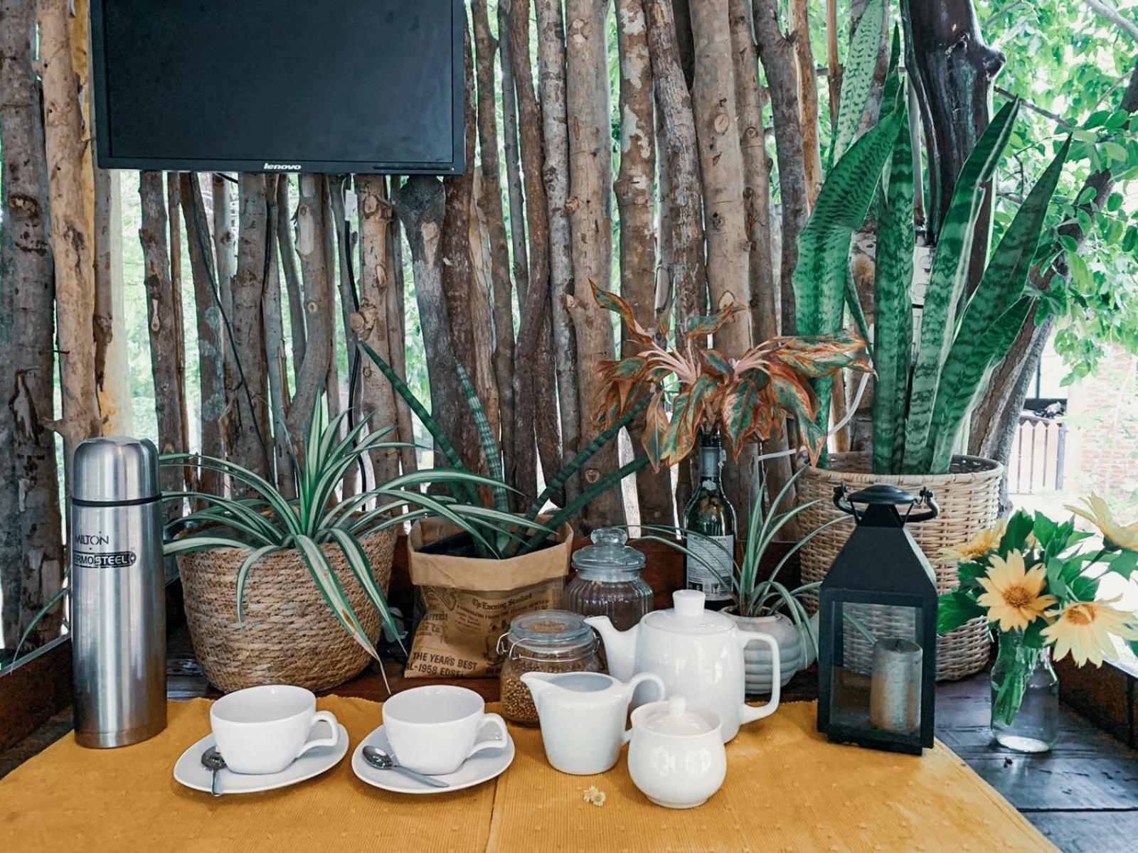 Camp Leopard - Yala Safari Glamping