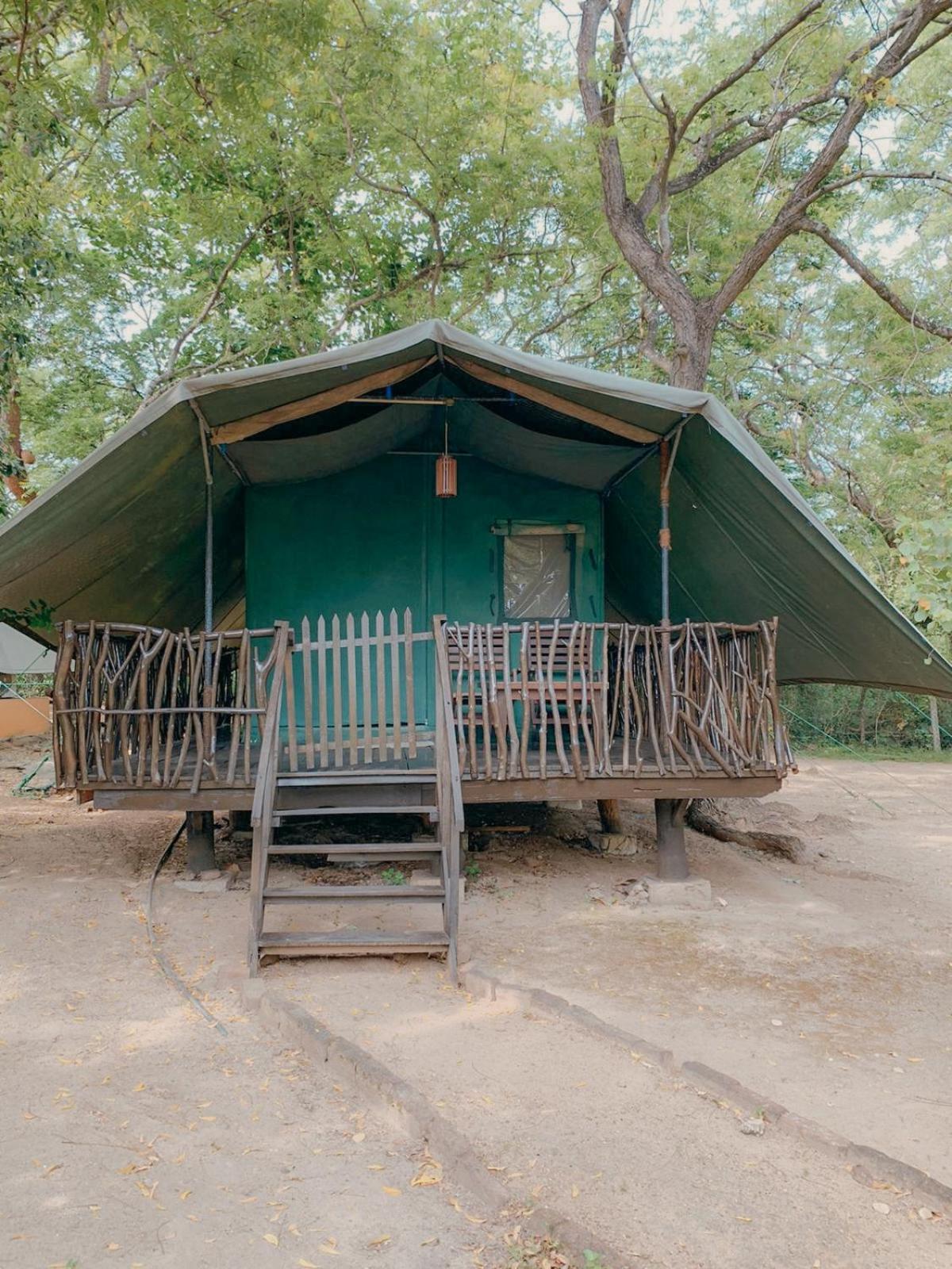Camp Leopard - Yala Safari Glamping