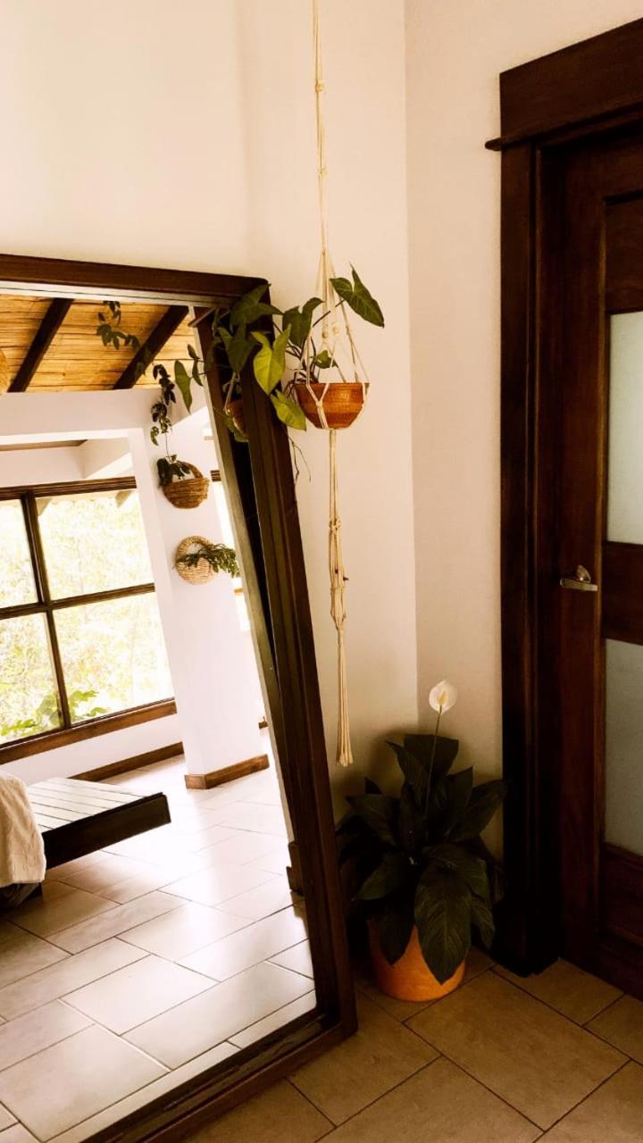 Casa NATIVO view 5