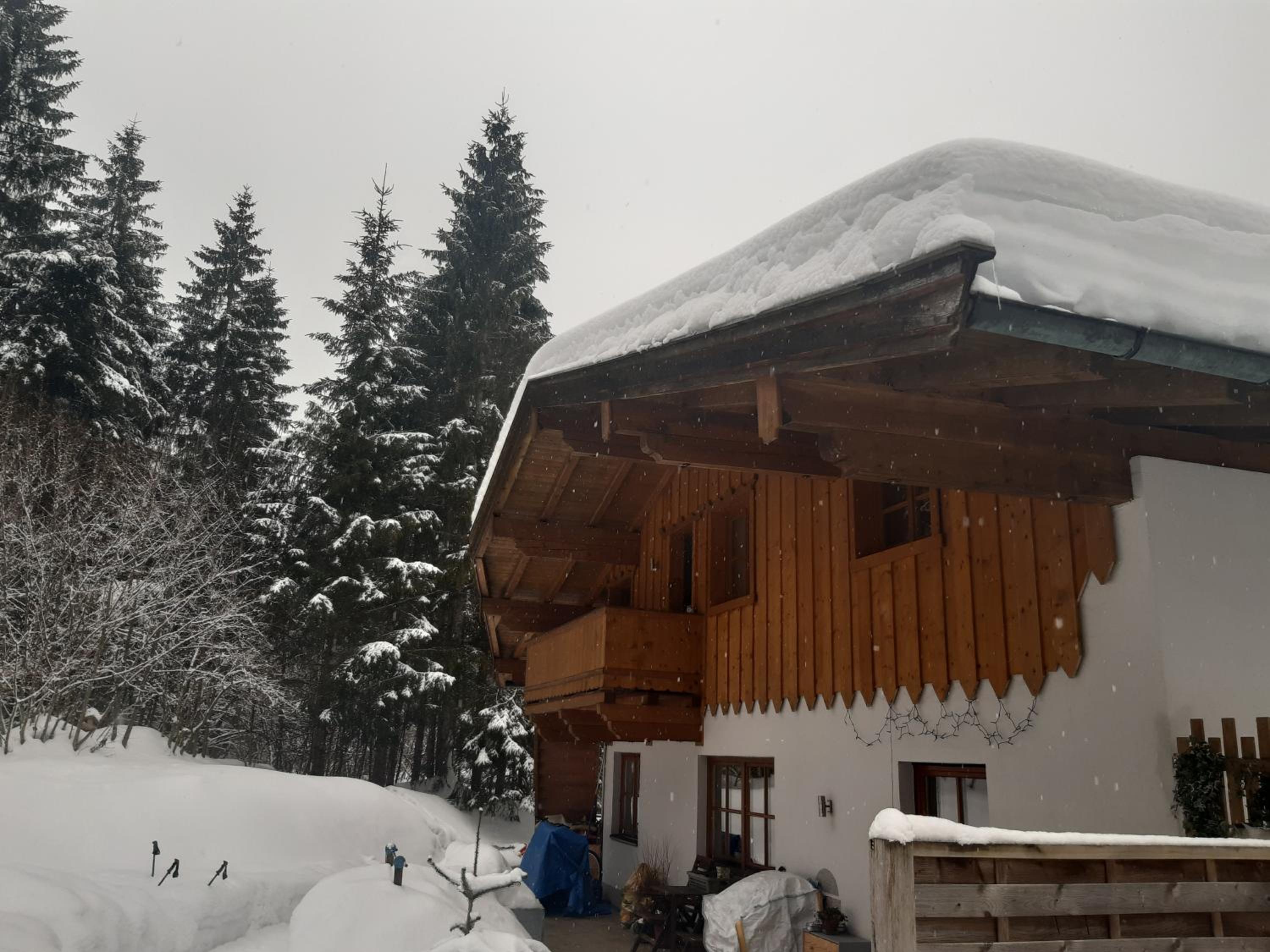Ferienwohnung am Wald view 4