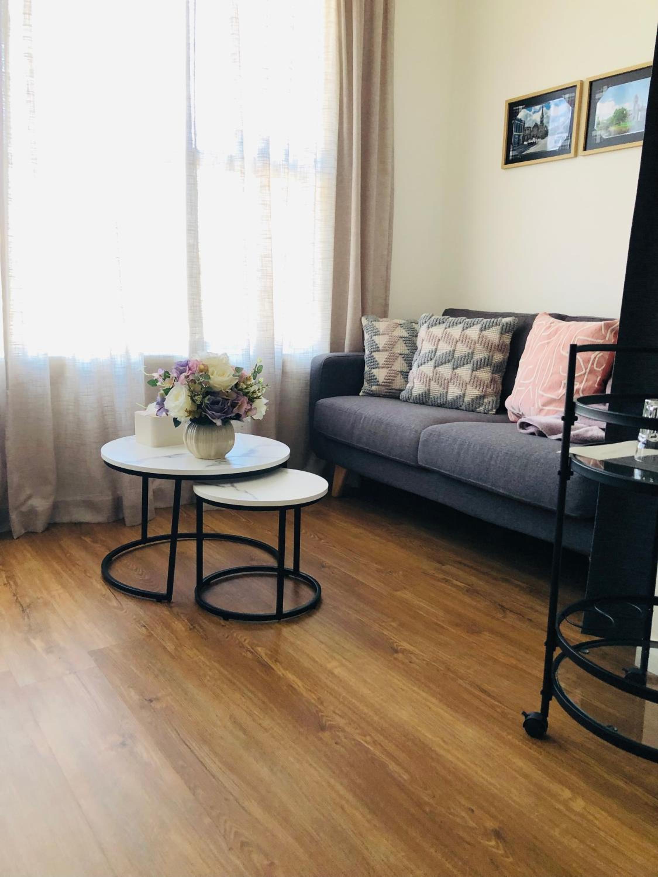 Lux Studio in Dunedin Central view 5