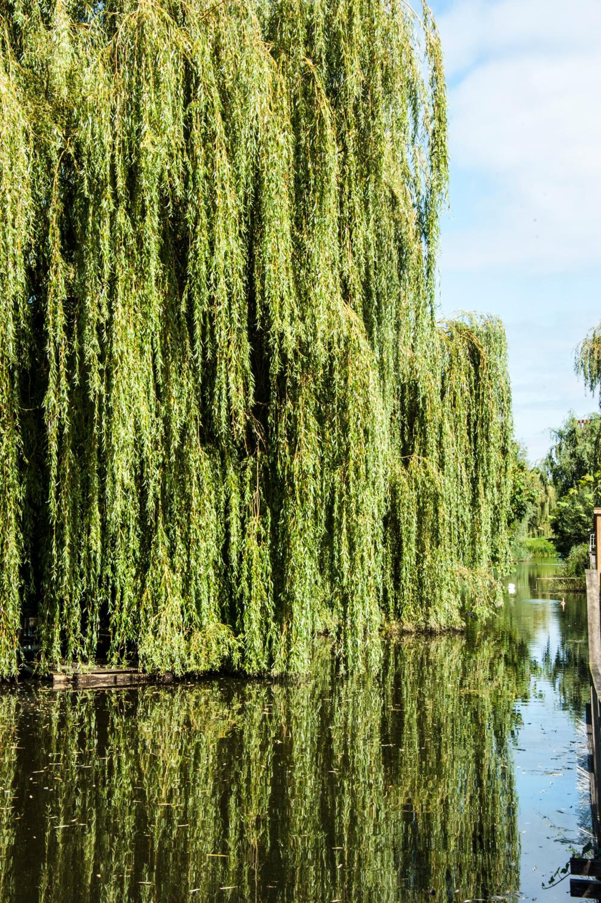 Canal Garden Apartment StayWell Amsterdam