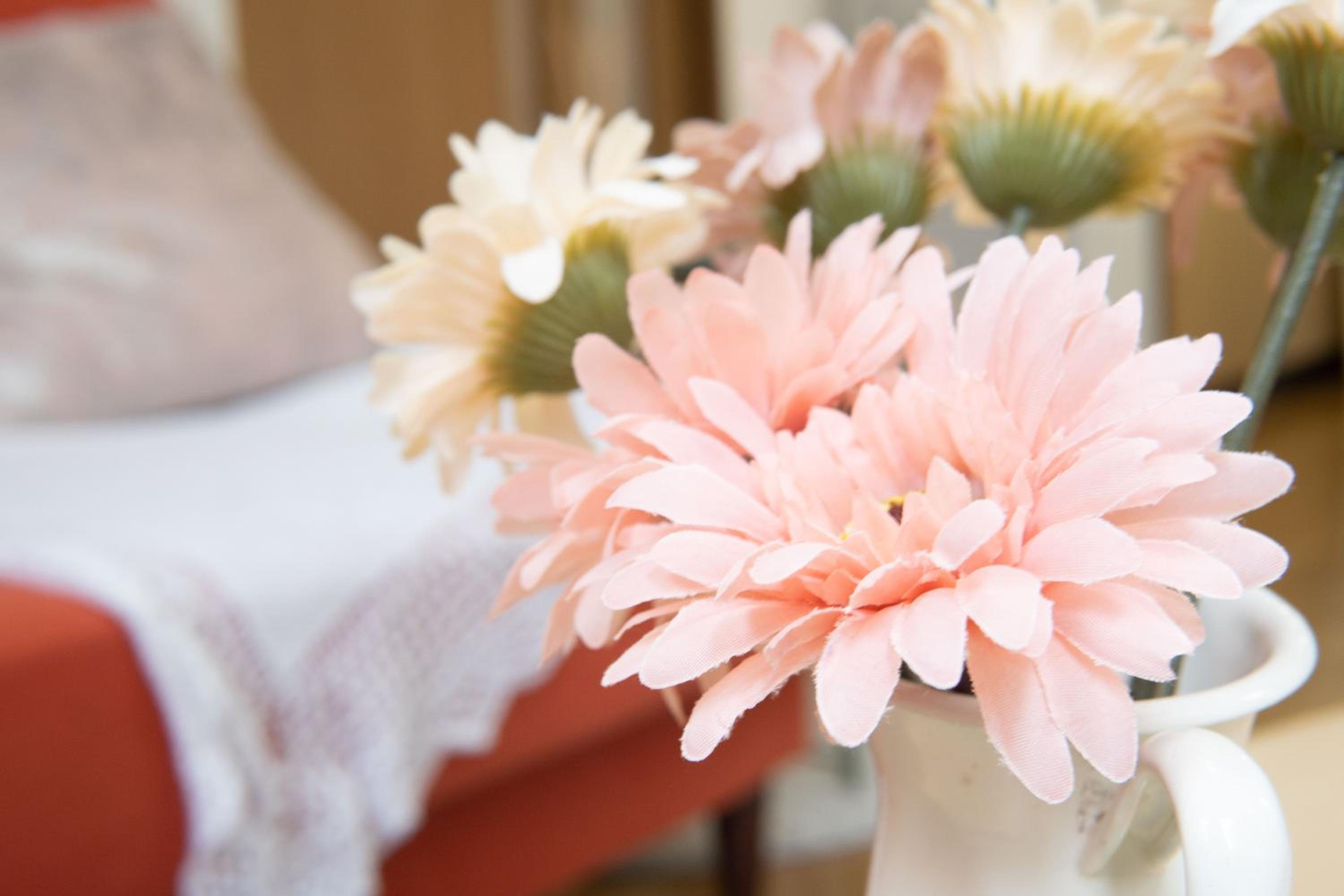 Elle's Shirokane Guest house photo 3