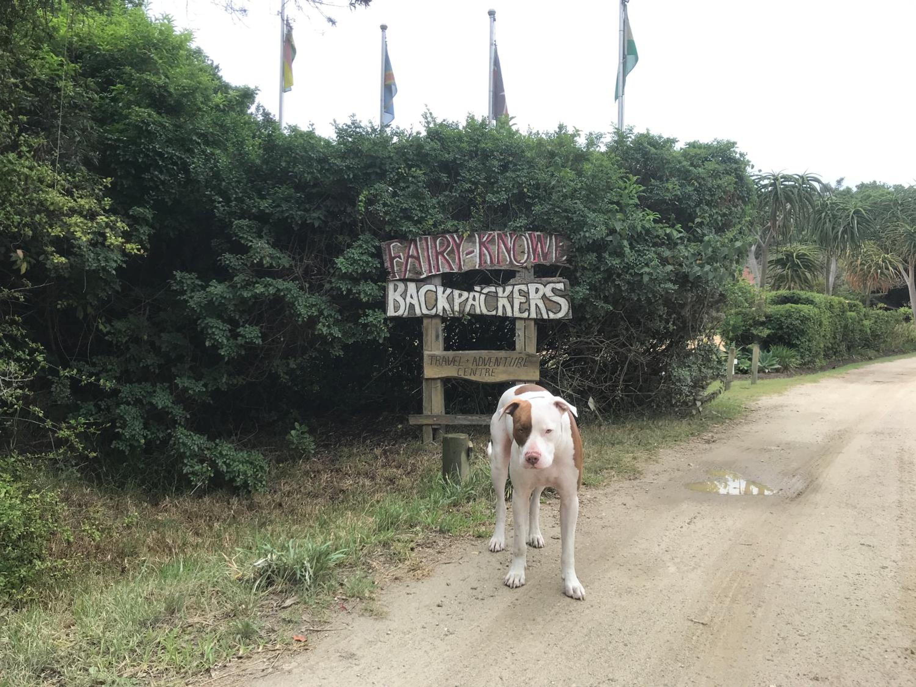 Fairy Knowe Backpackers Lodge