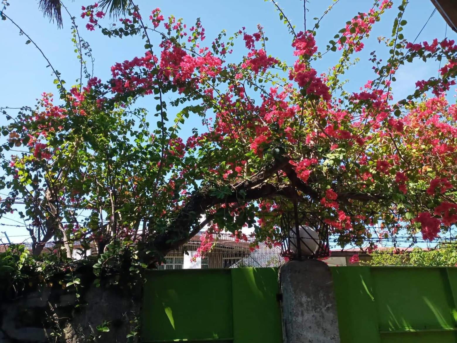 Casa Joaquin BnB
