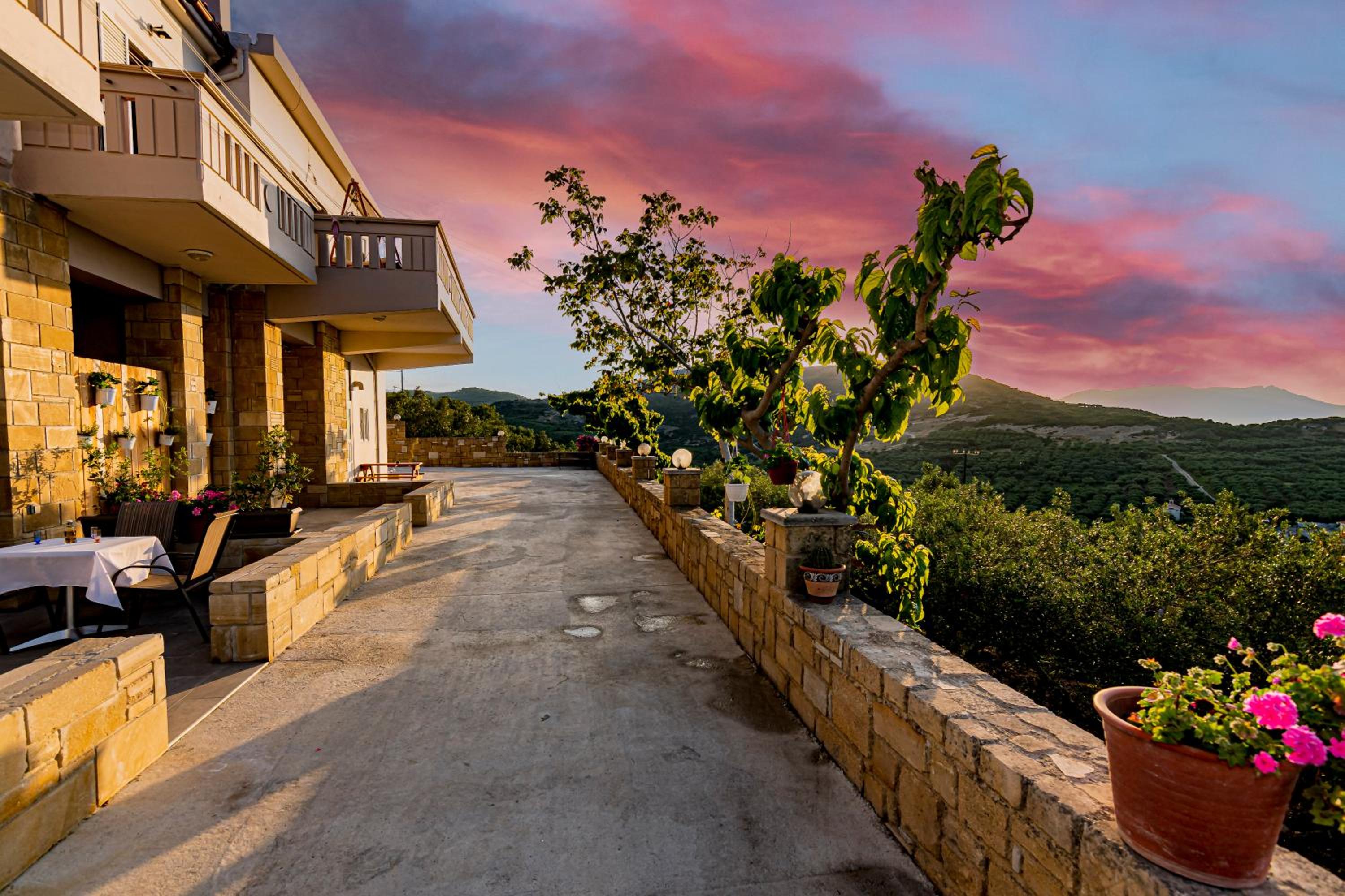 balance & terrace