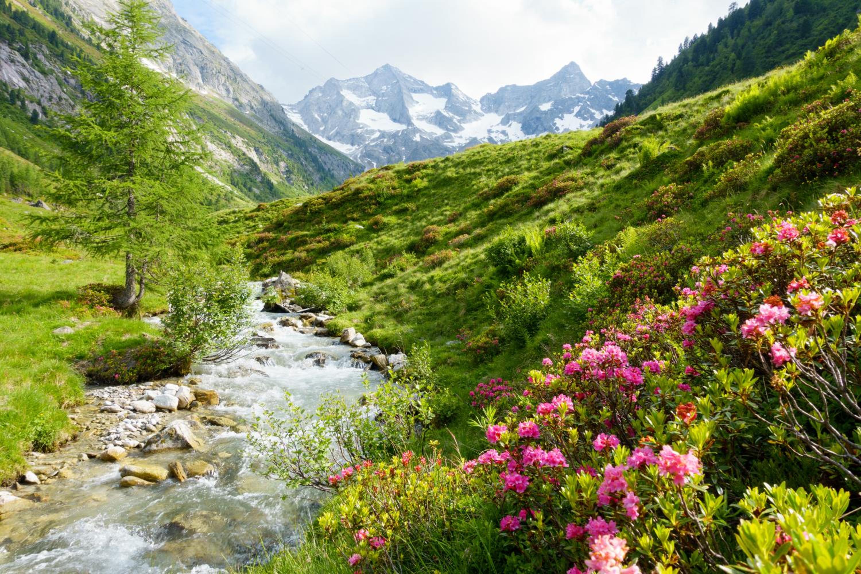 Alte Schmiede Talbach