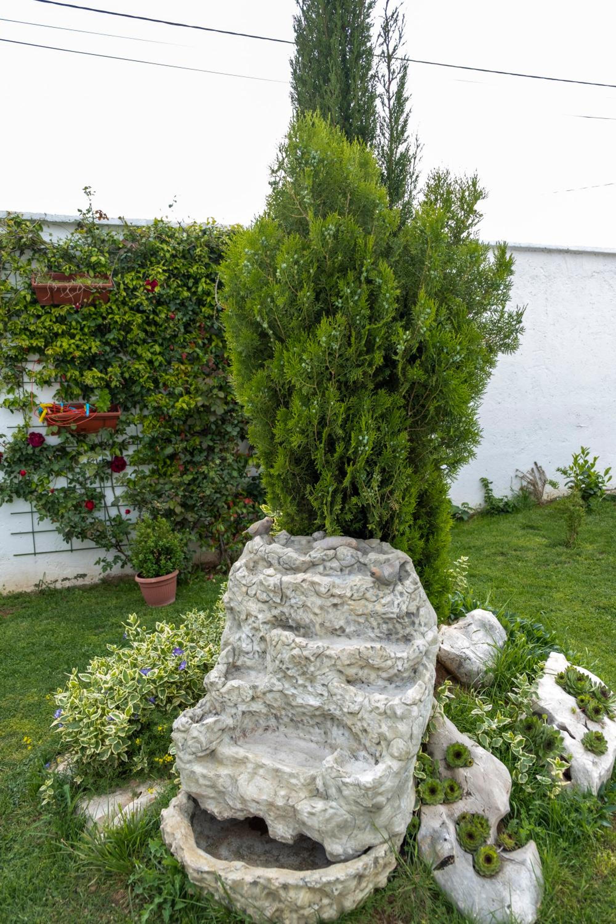 Photo 48