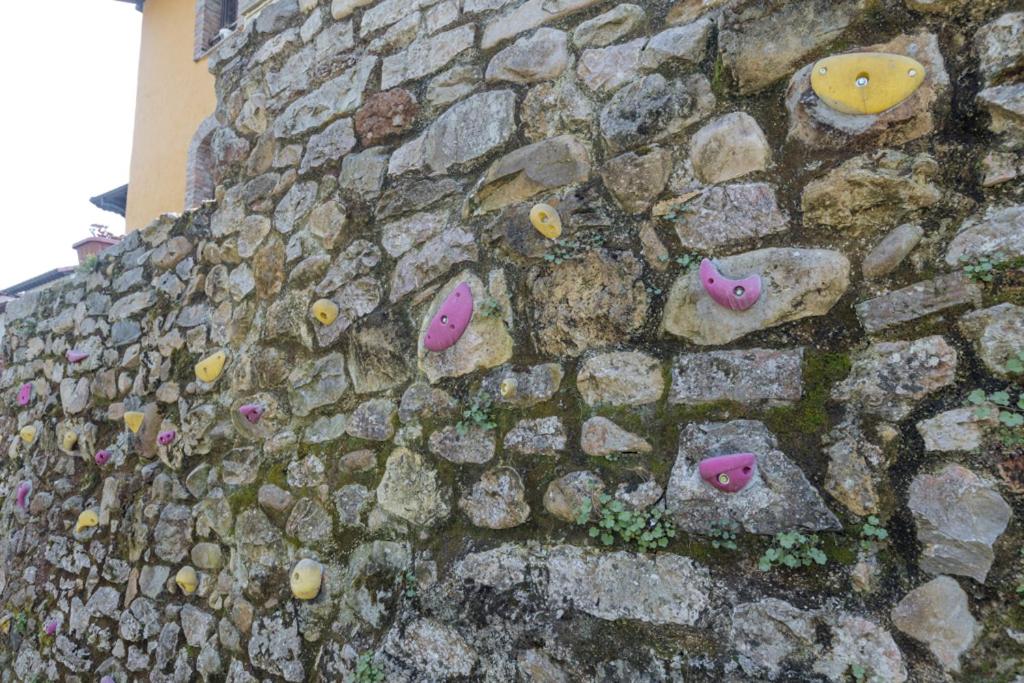 Floreu de Remis Casa