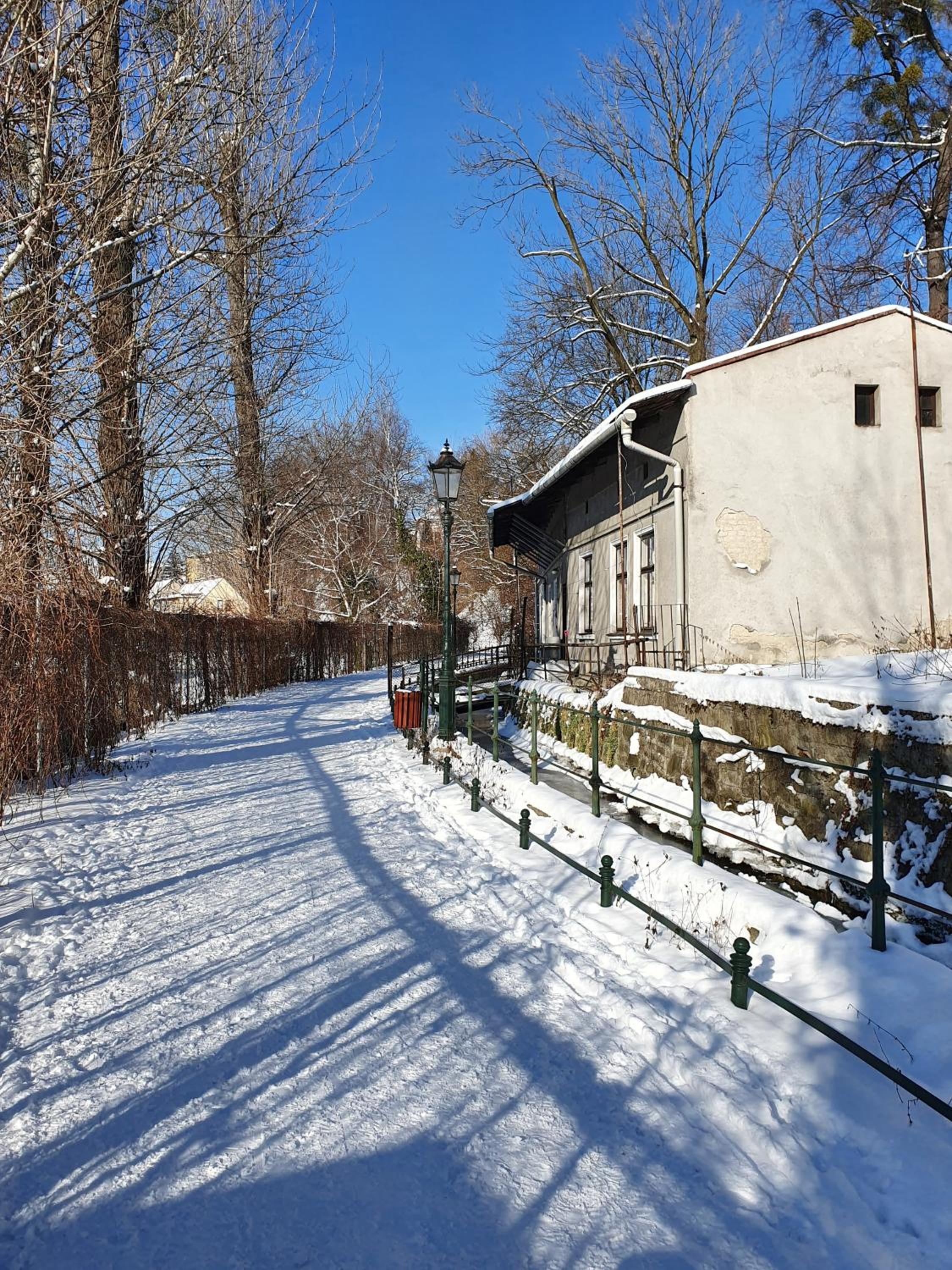 Photo 23