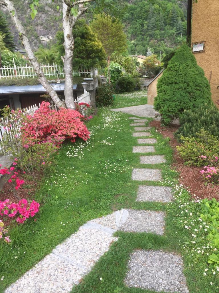 Photo 15