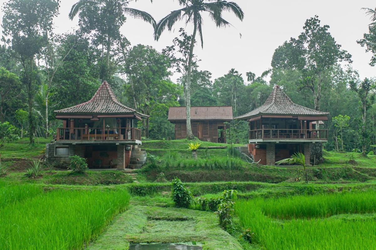 Hotel Tepi Sawah Lodge & Retreat - Image 1