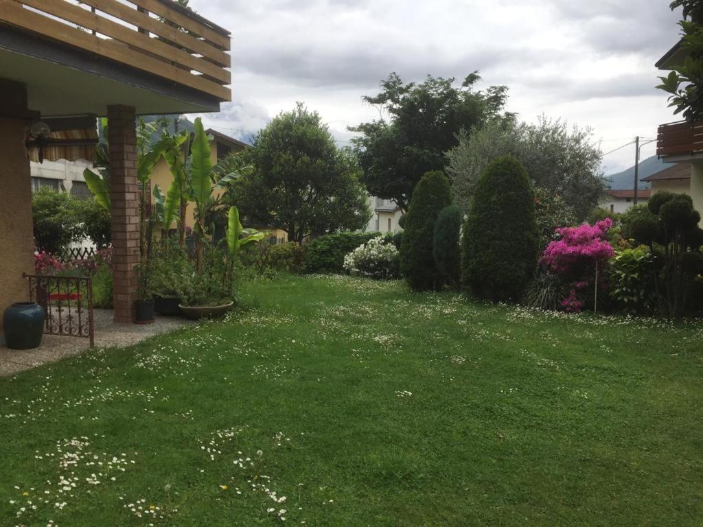 Photo 17
