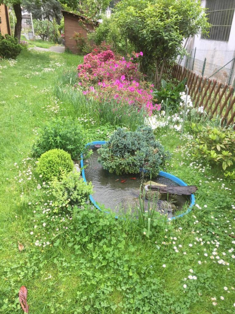 Photo 22