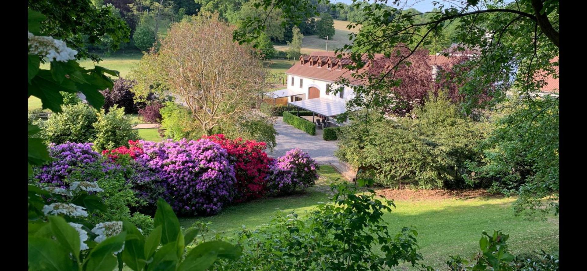 De Molenhoeve B&B