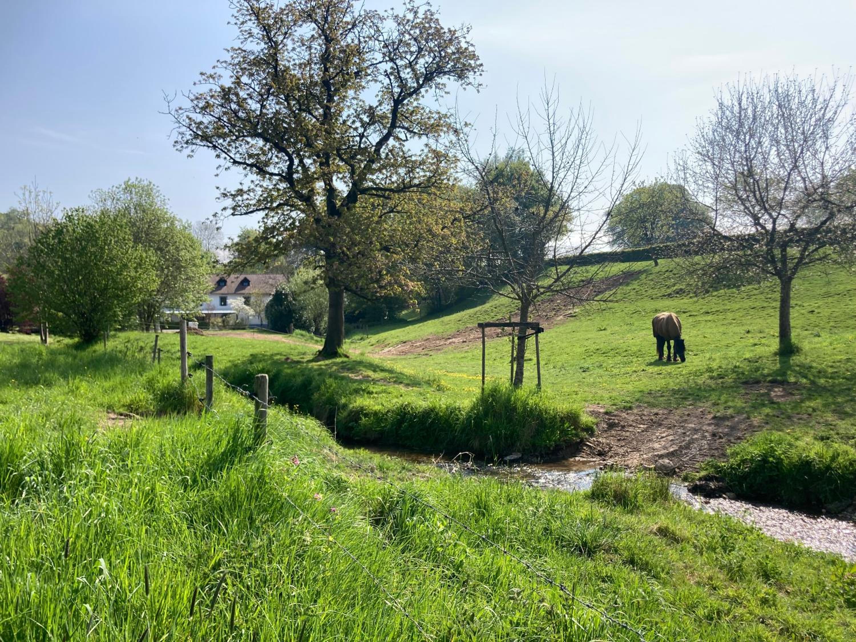 De Molenhoeve B&B