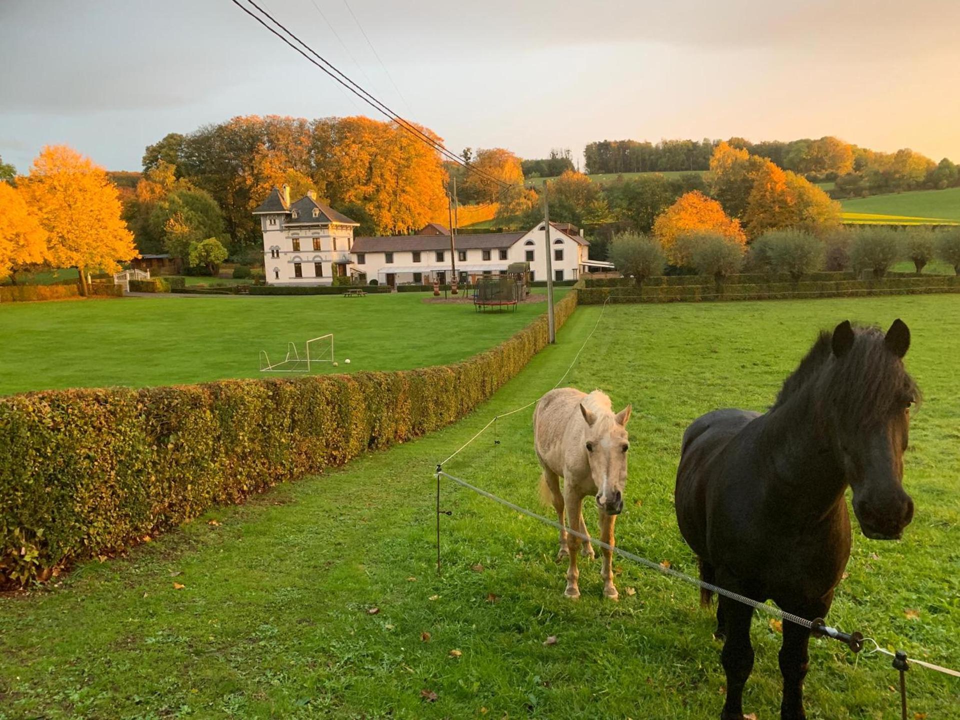 De Molenhoeve B&B