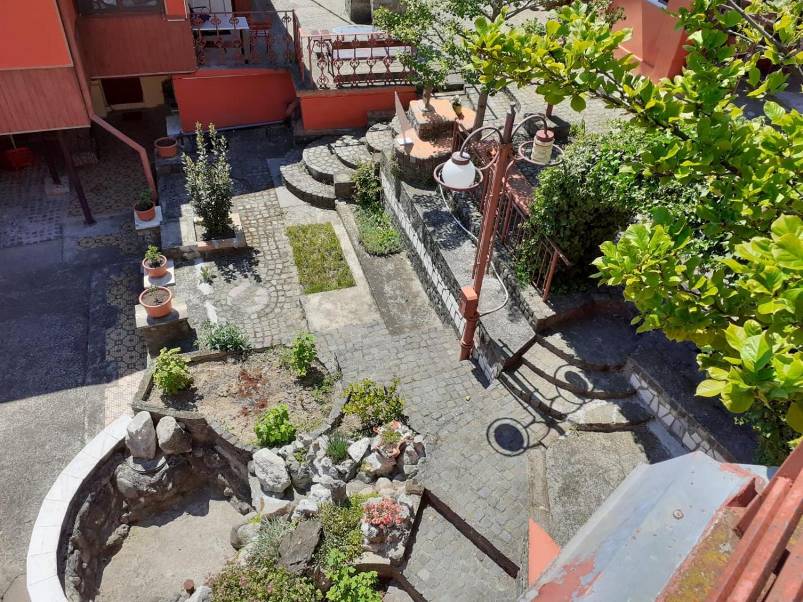 Pensiunea Belladonna view 5