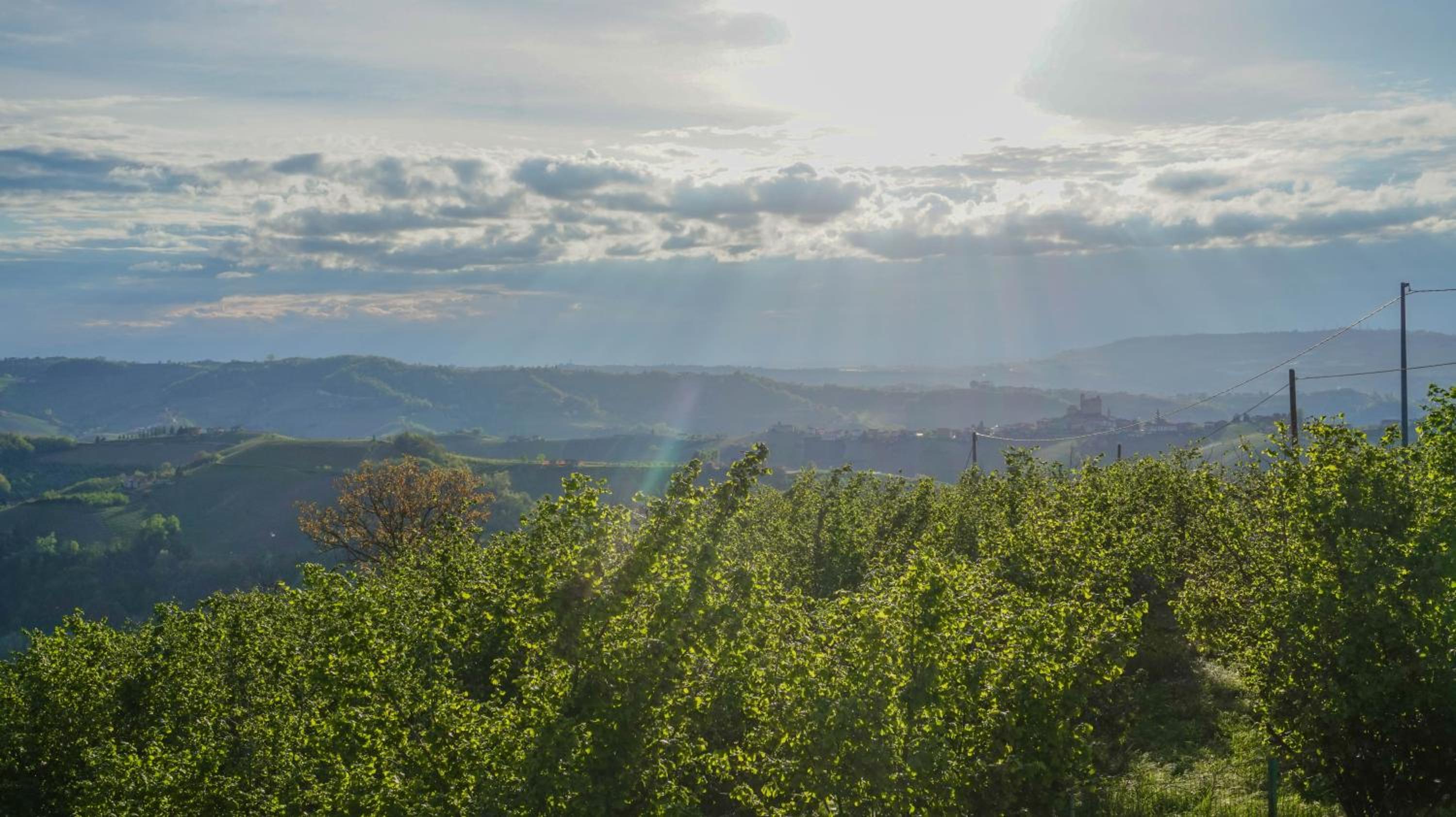 B&B La Buonora