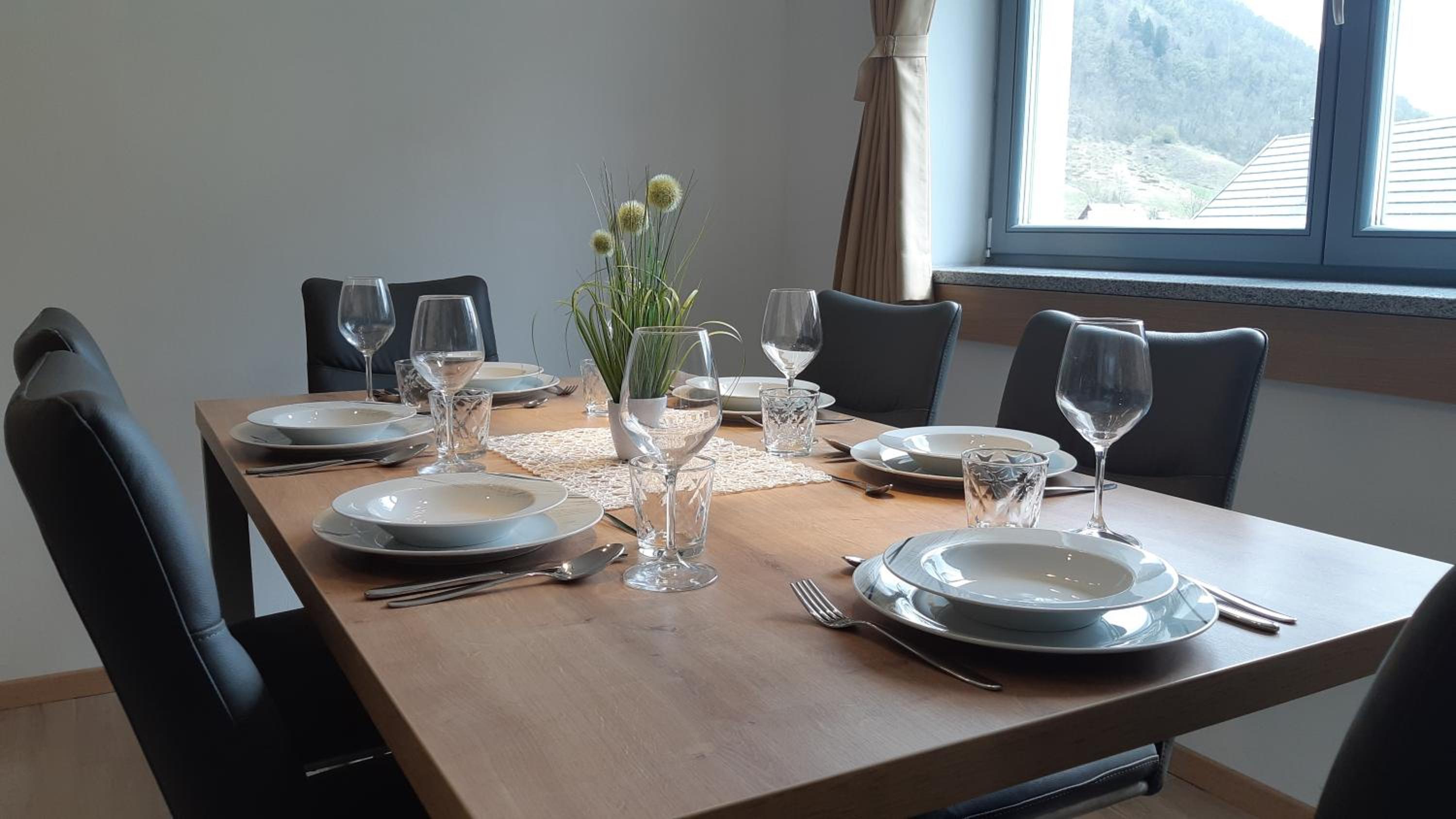 Apartments Vila Darja view 4