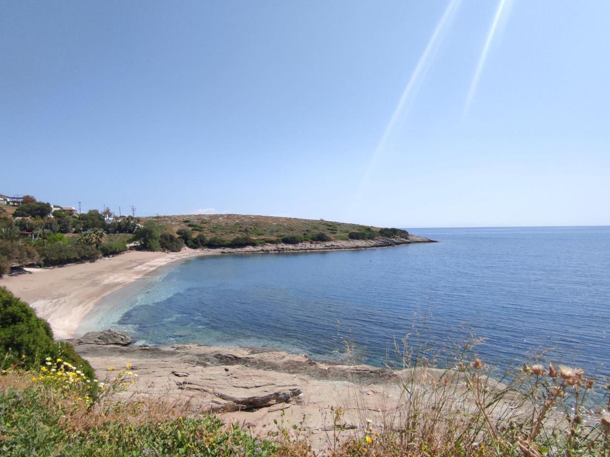 Blue Horizon View photo 4
