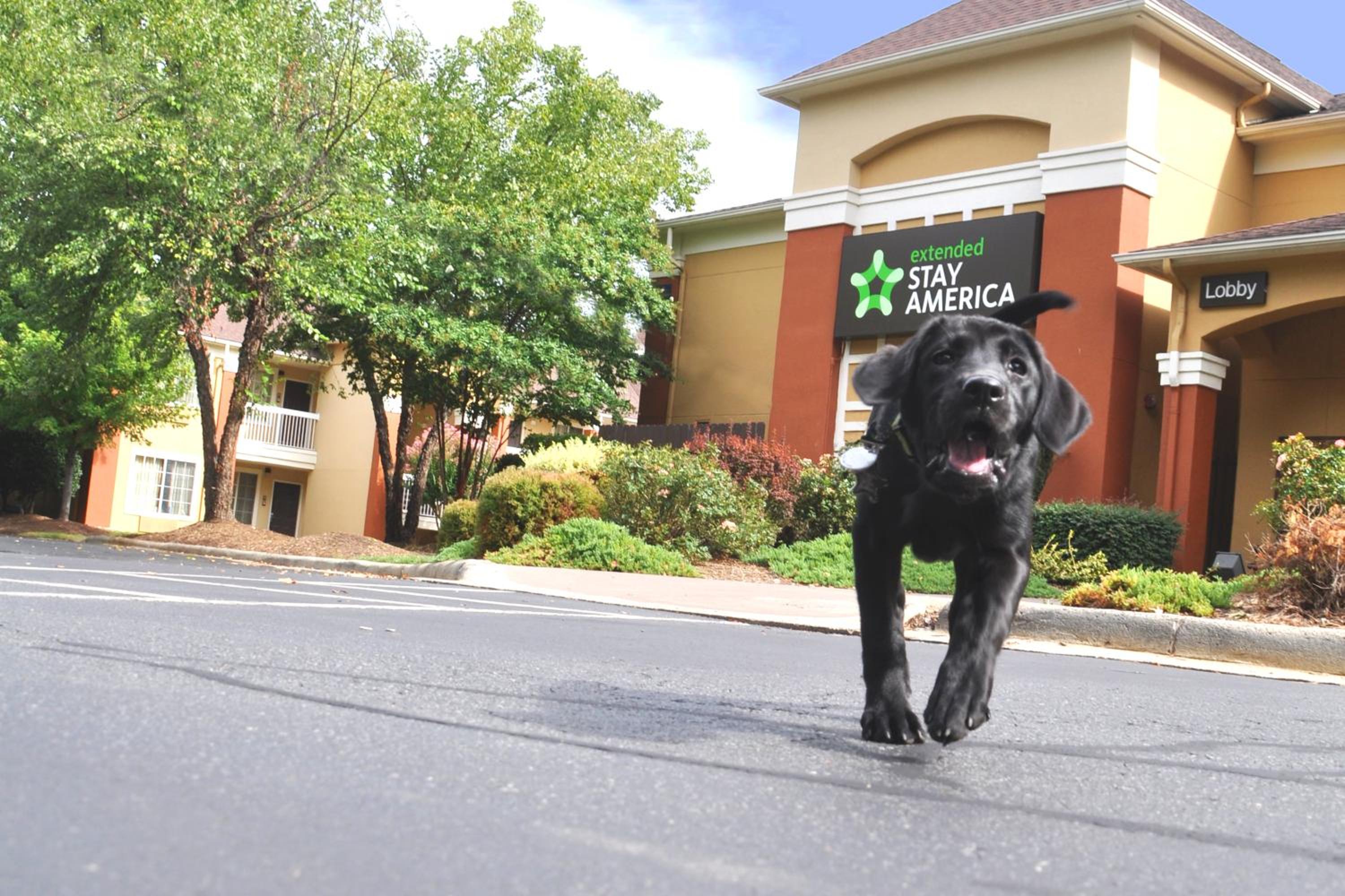 Lexington Vacations - Extended Stay America Suites - Lexington - Nicholasville Road - Property Image 10