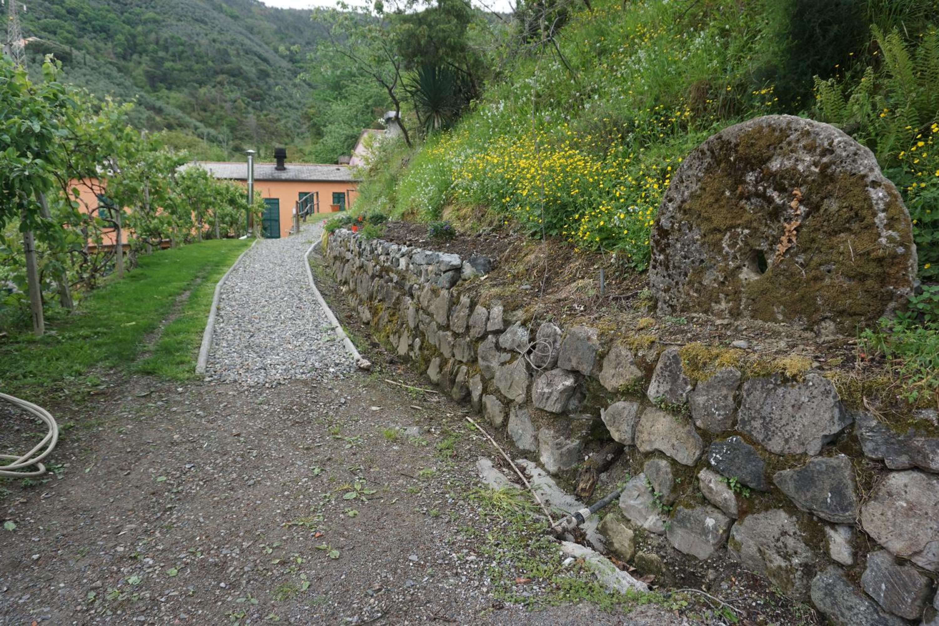 Photo 24