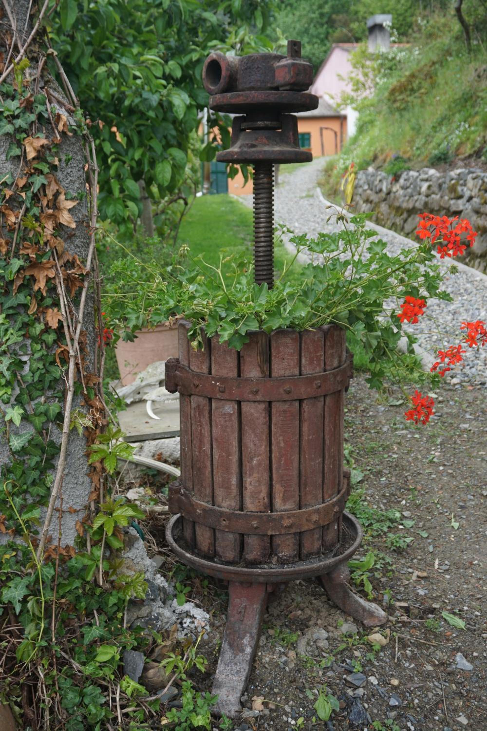 Photo 26