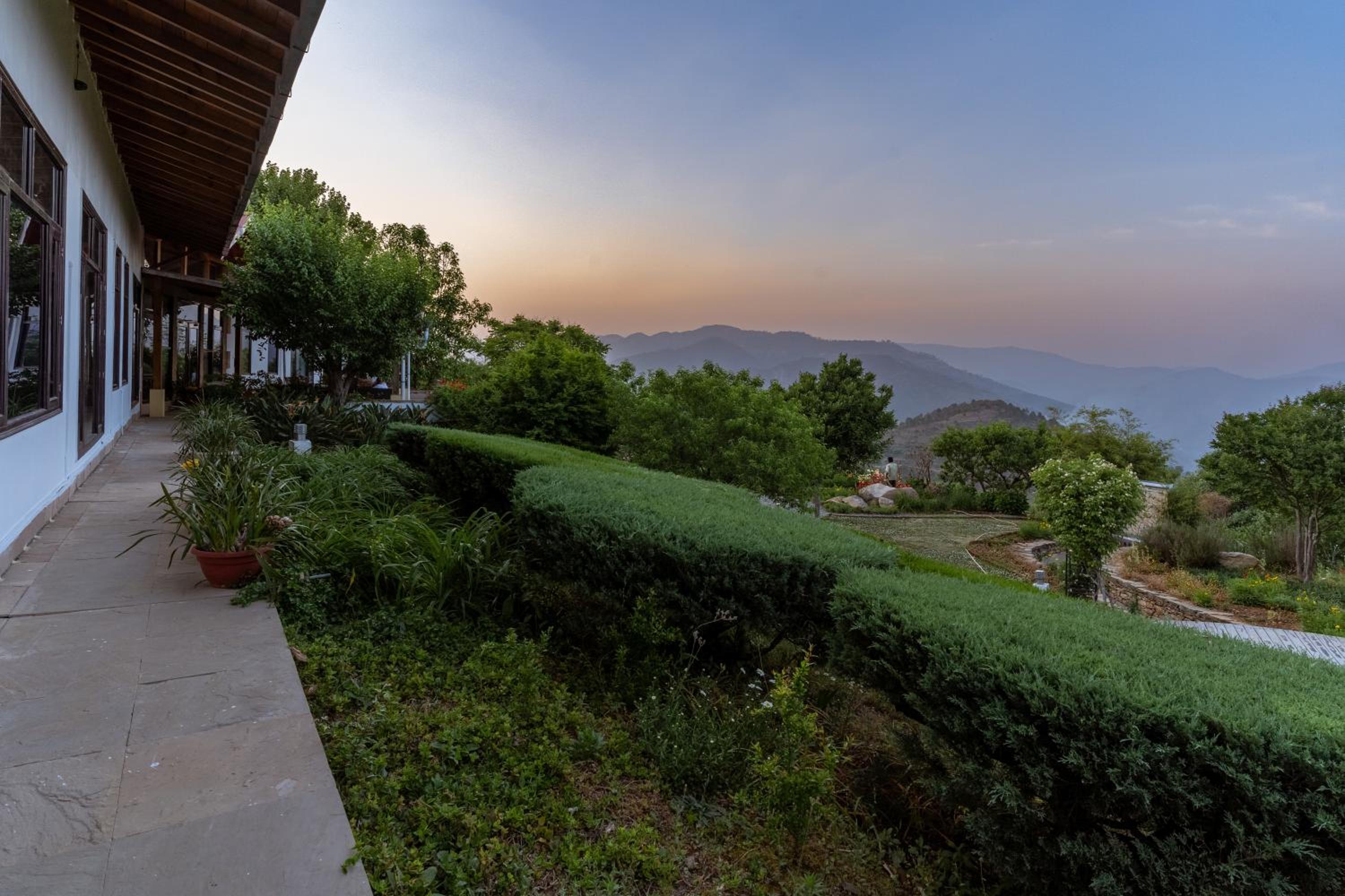 Tree of Life Junoon in the Hills Kumaon view 2