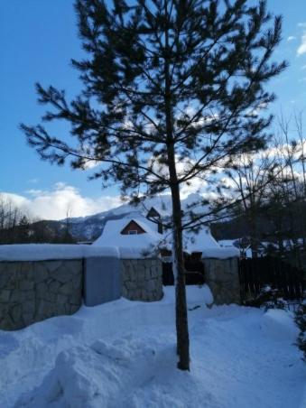 Photo 33