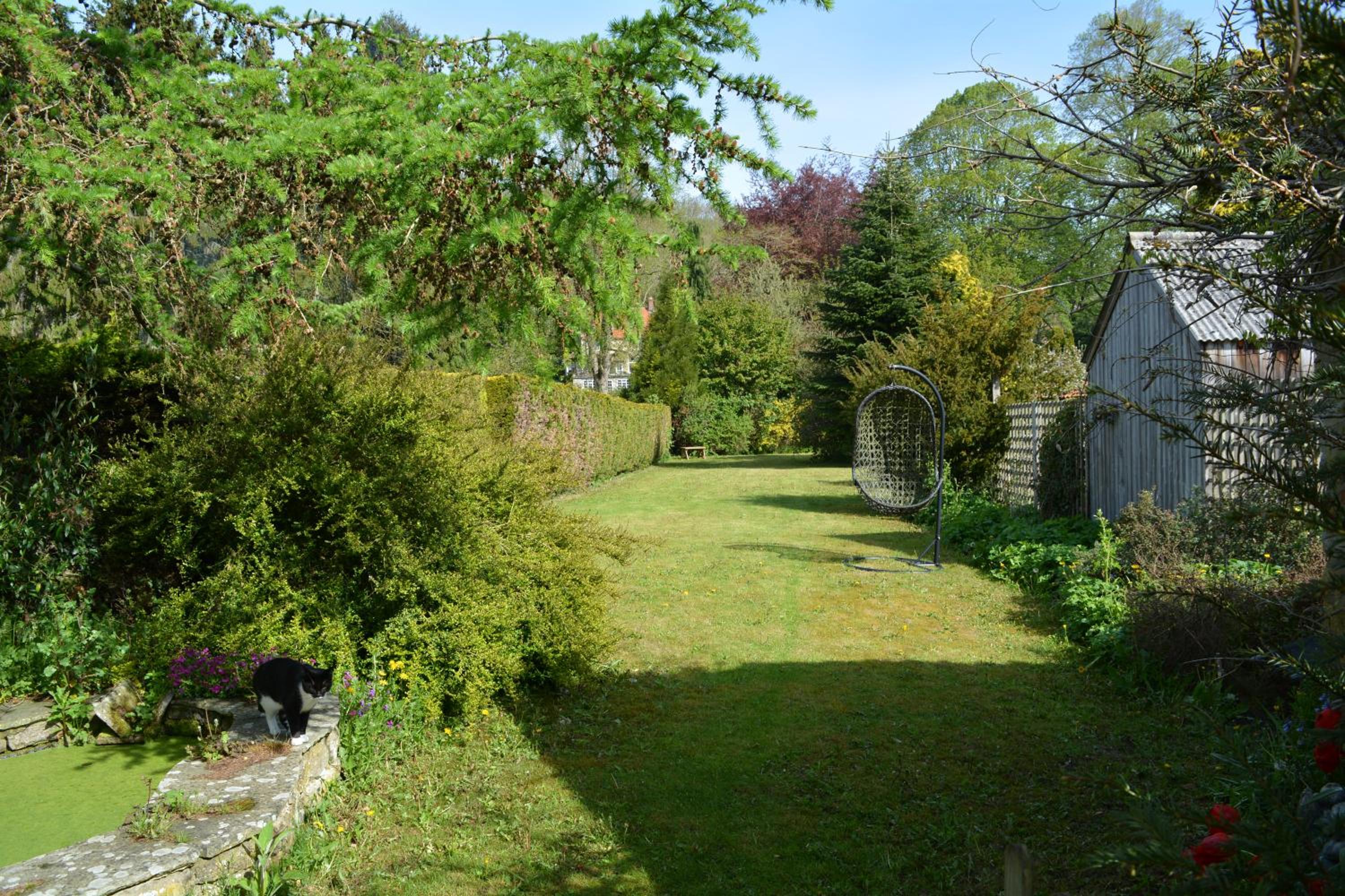 Photo 25
