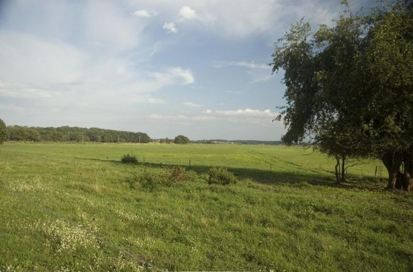 Usedom Ferienwohnungen Riwa ruhig