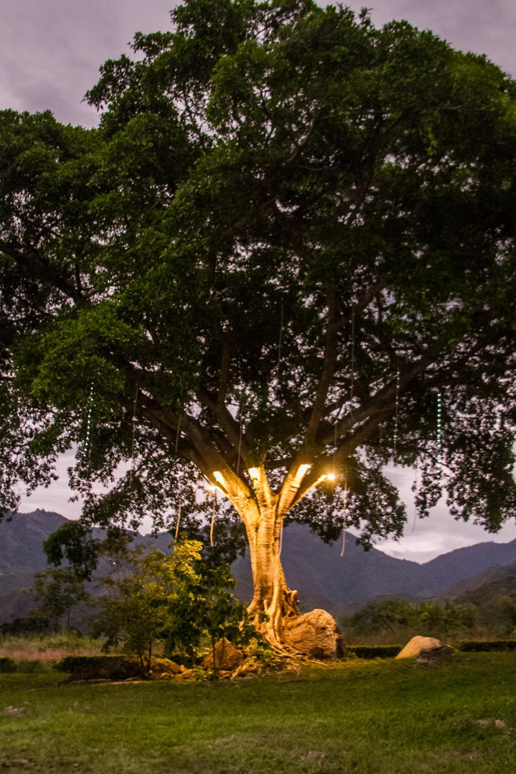 Finca Termópilas