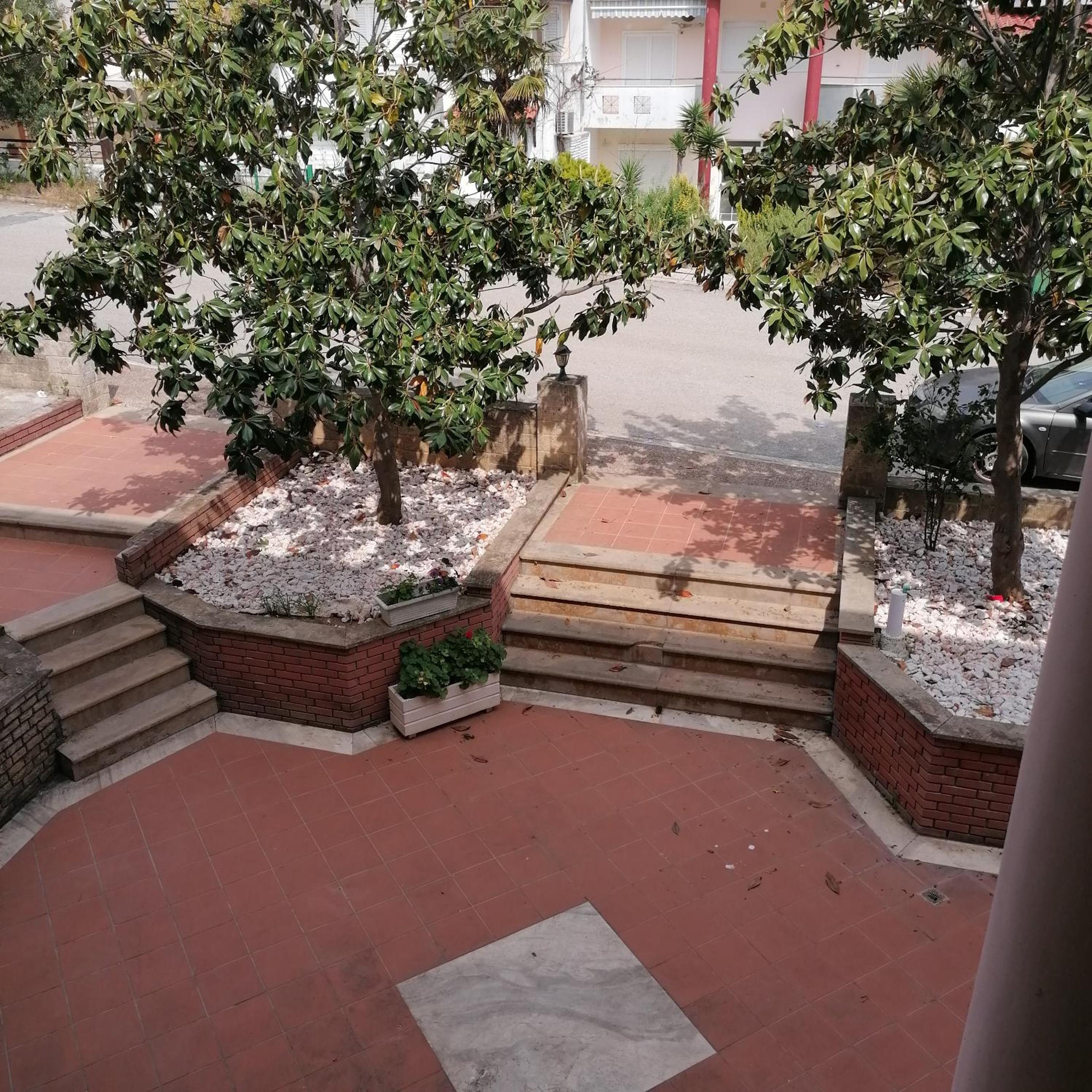 Petra Studios