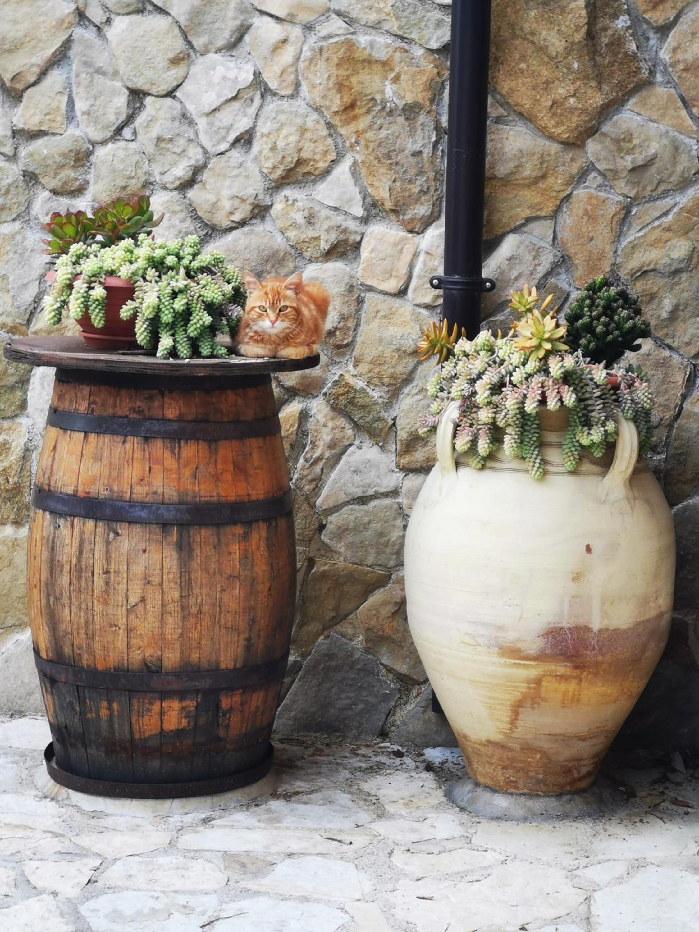 other
