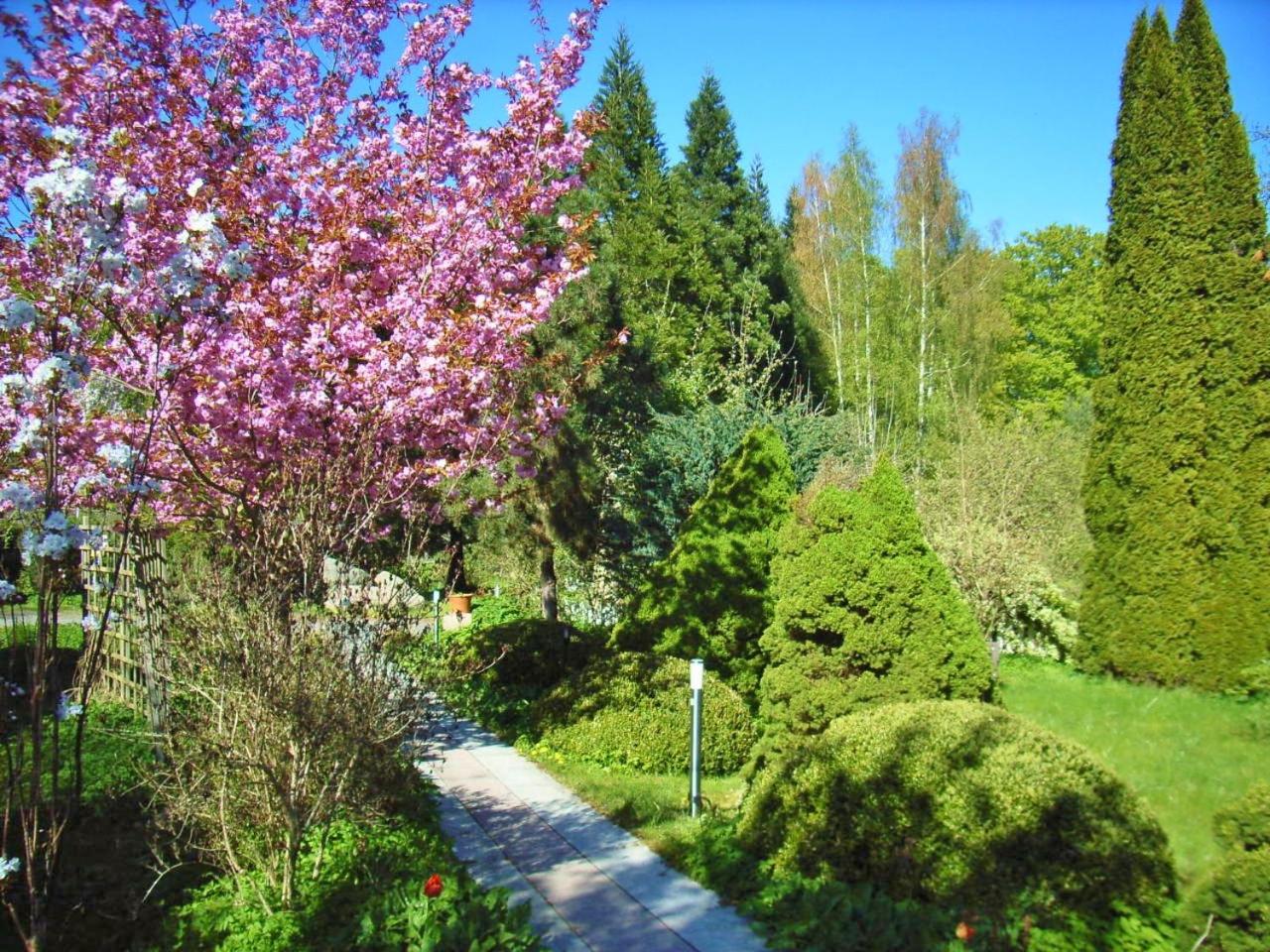 Ostsee Hotel-Pension An der Lindenallee