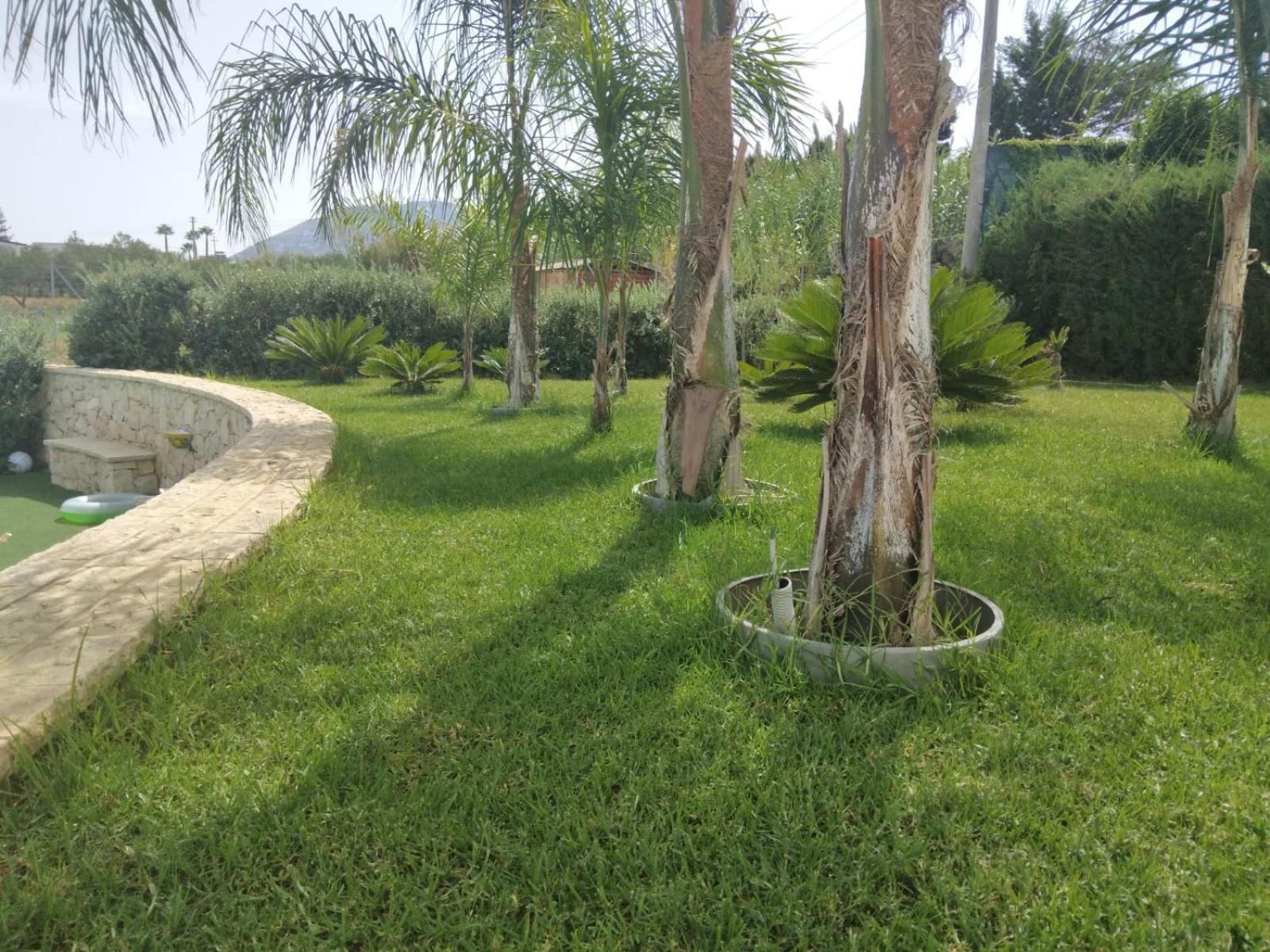 Photo 52
