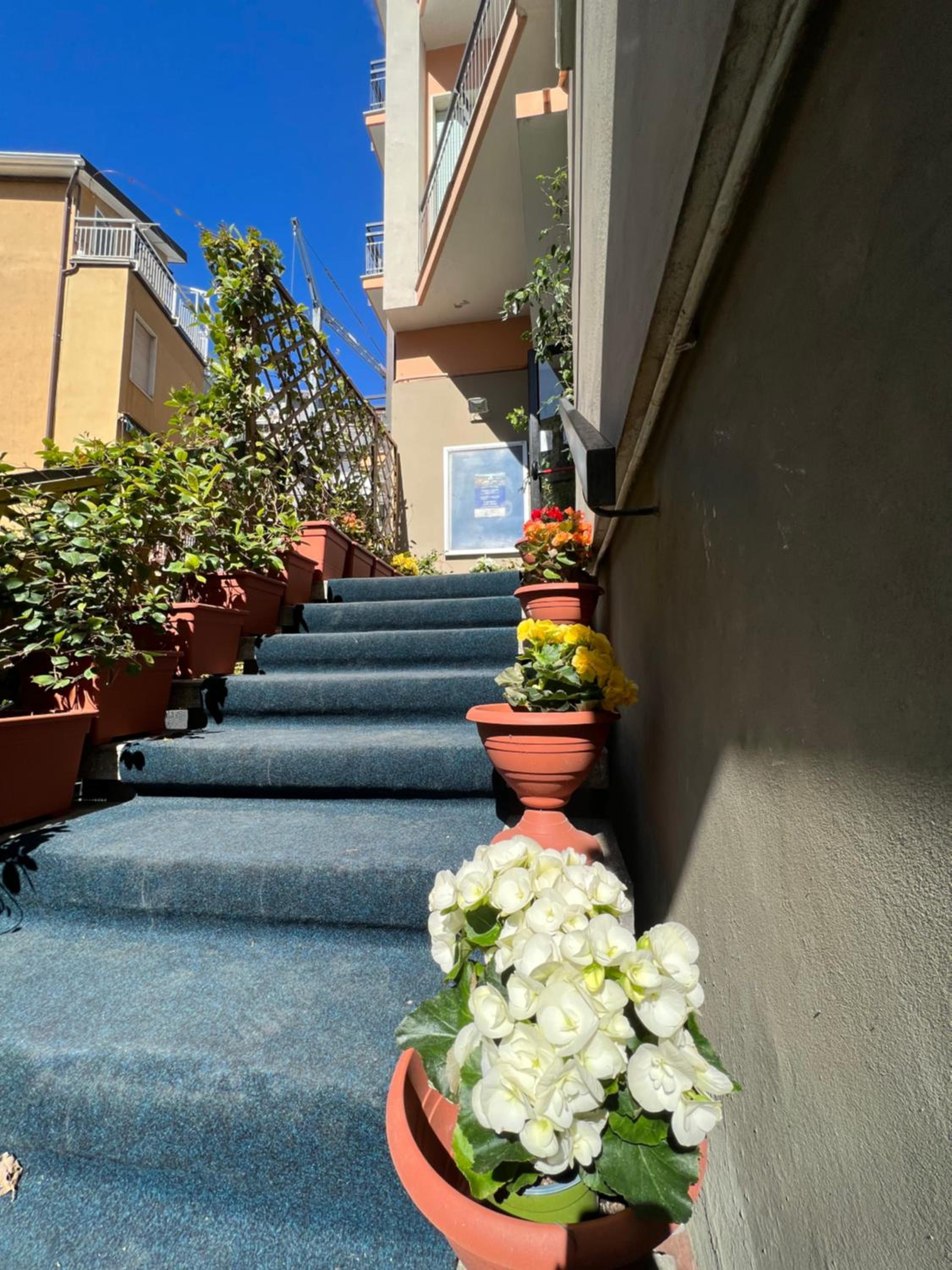 Hotel Capri, photo 5