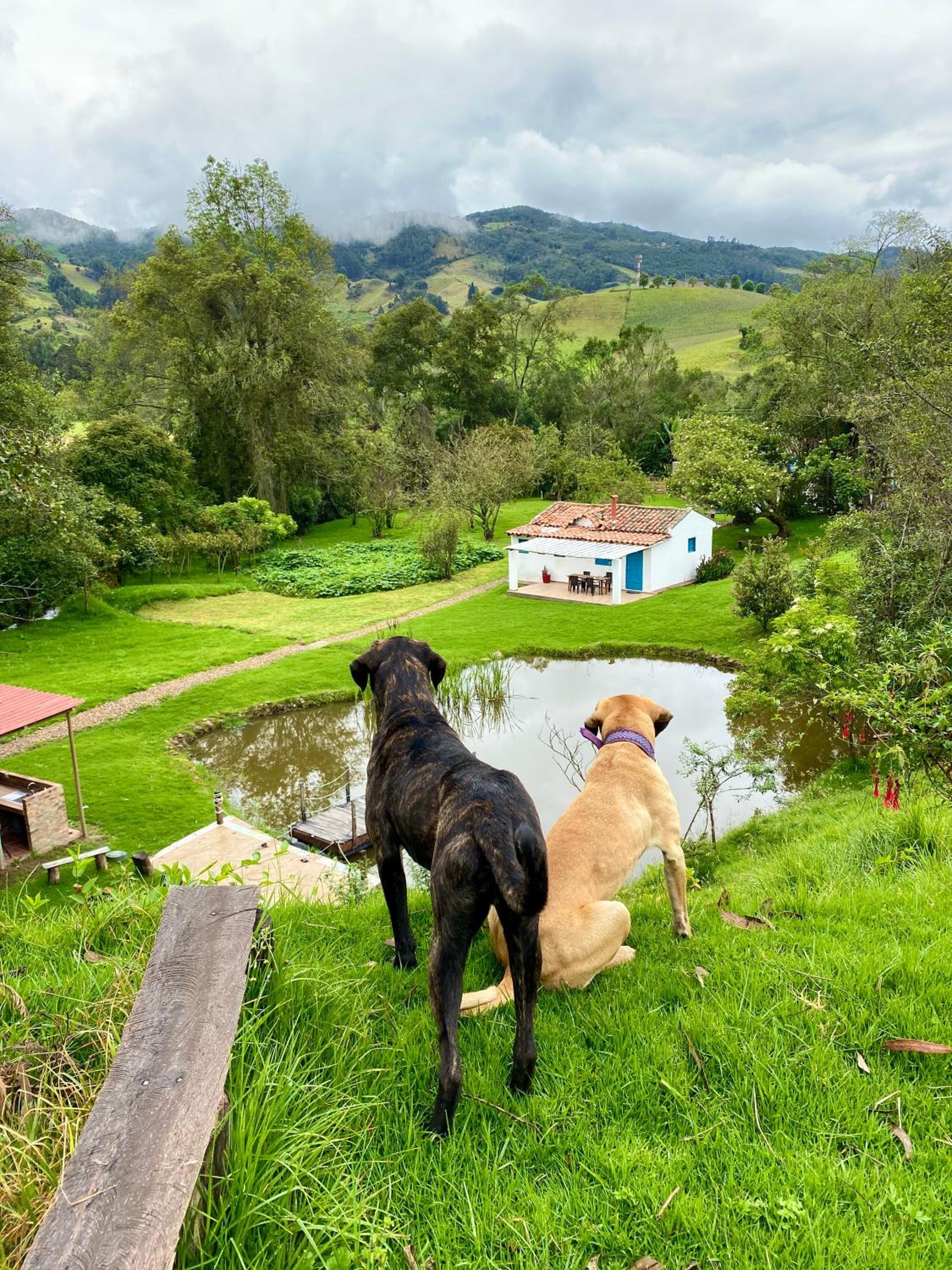 Hacienda Tocarema