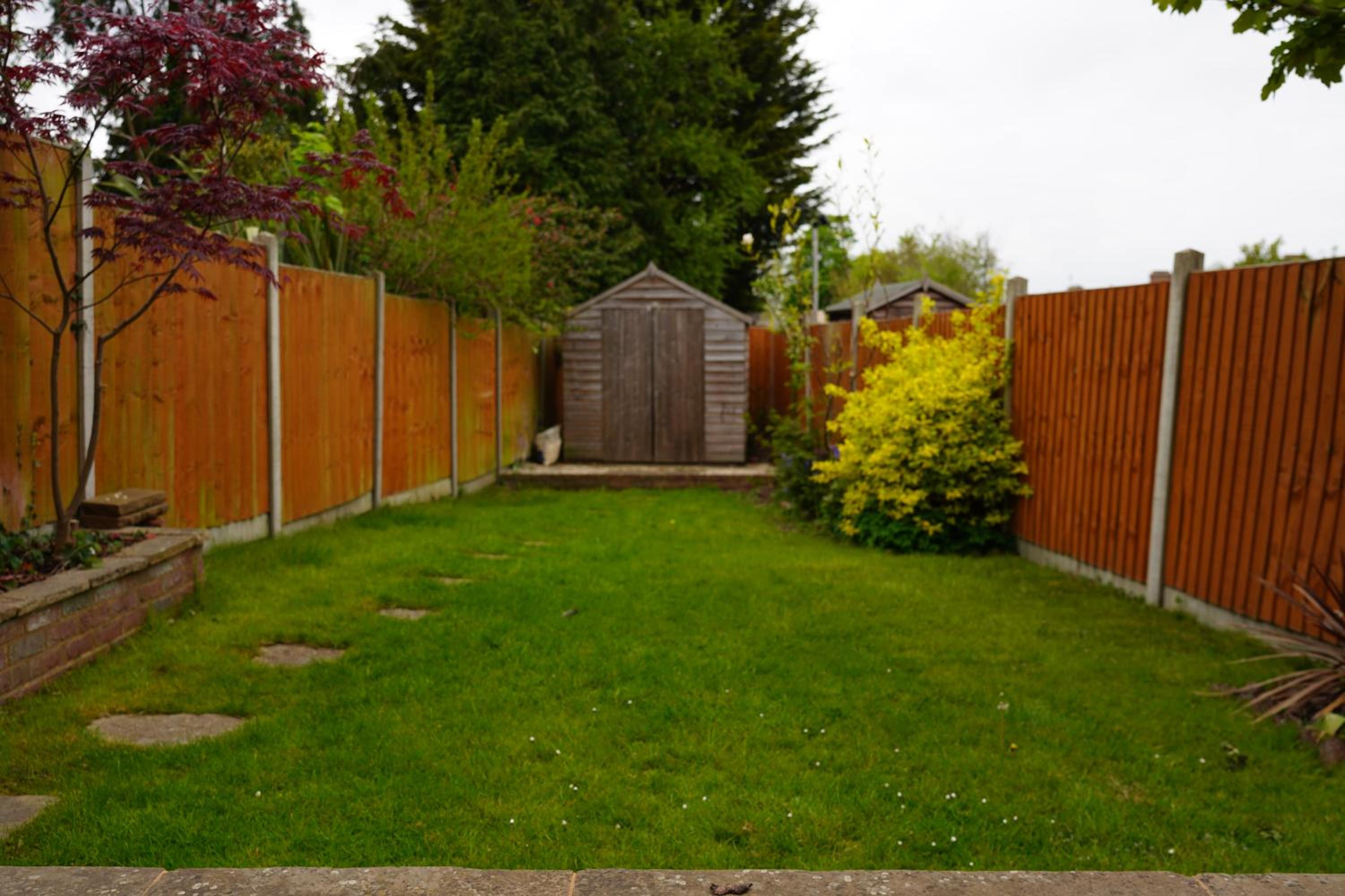Photo 27