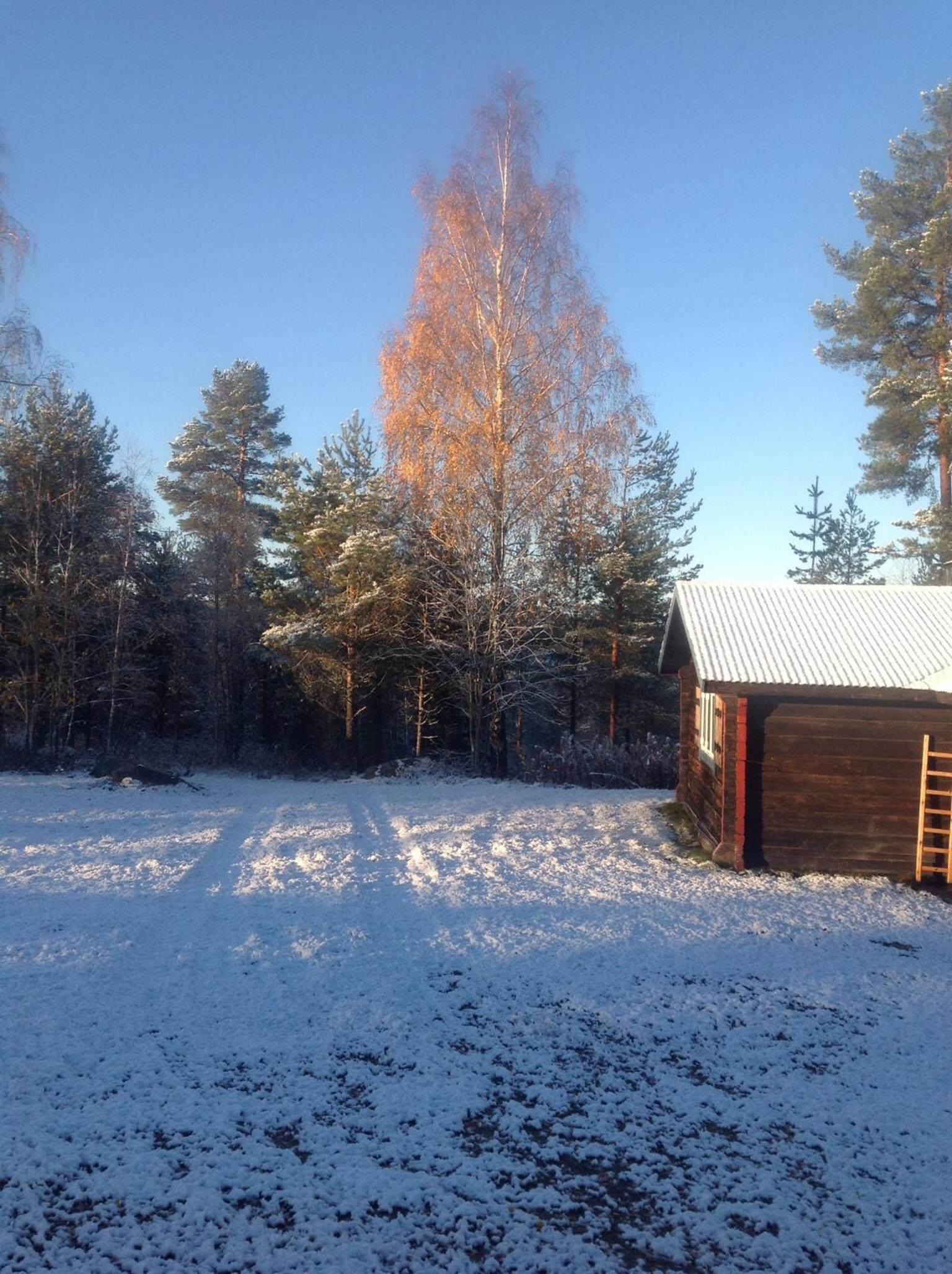 Photo 26